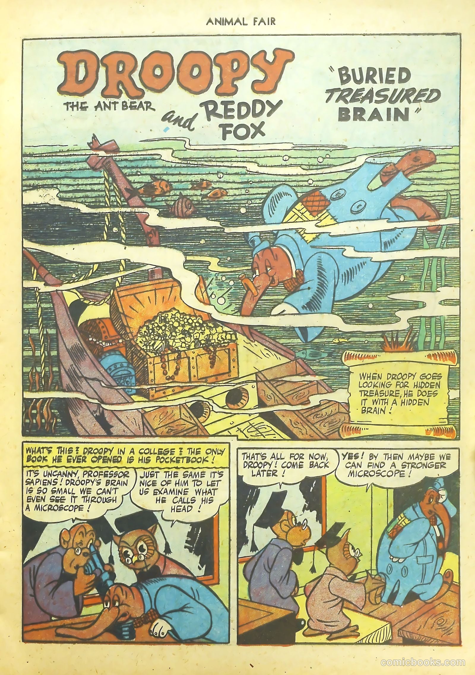 Animal Fair #11 — page 13 of 52