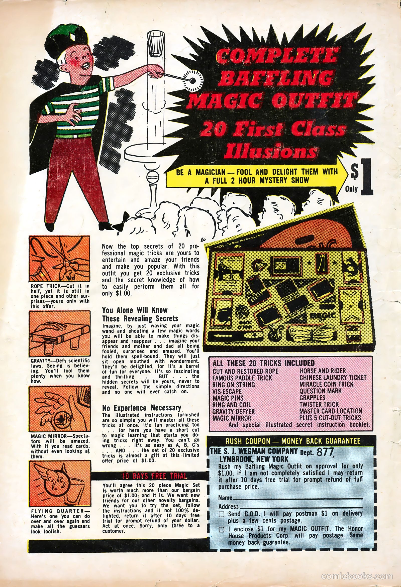 Animal Fun #1 — page 36 of 36