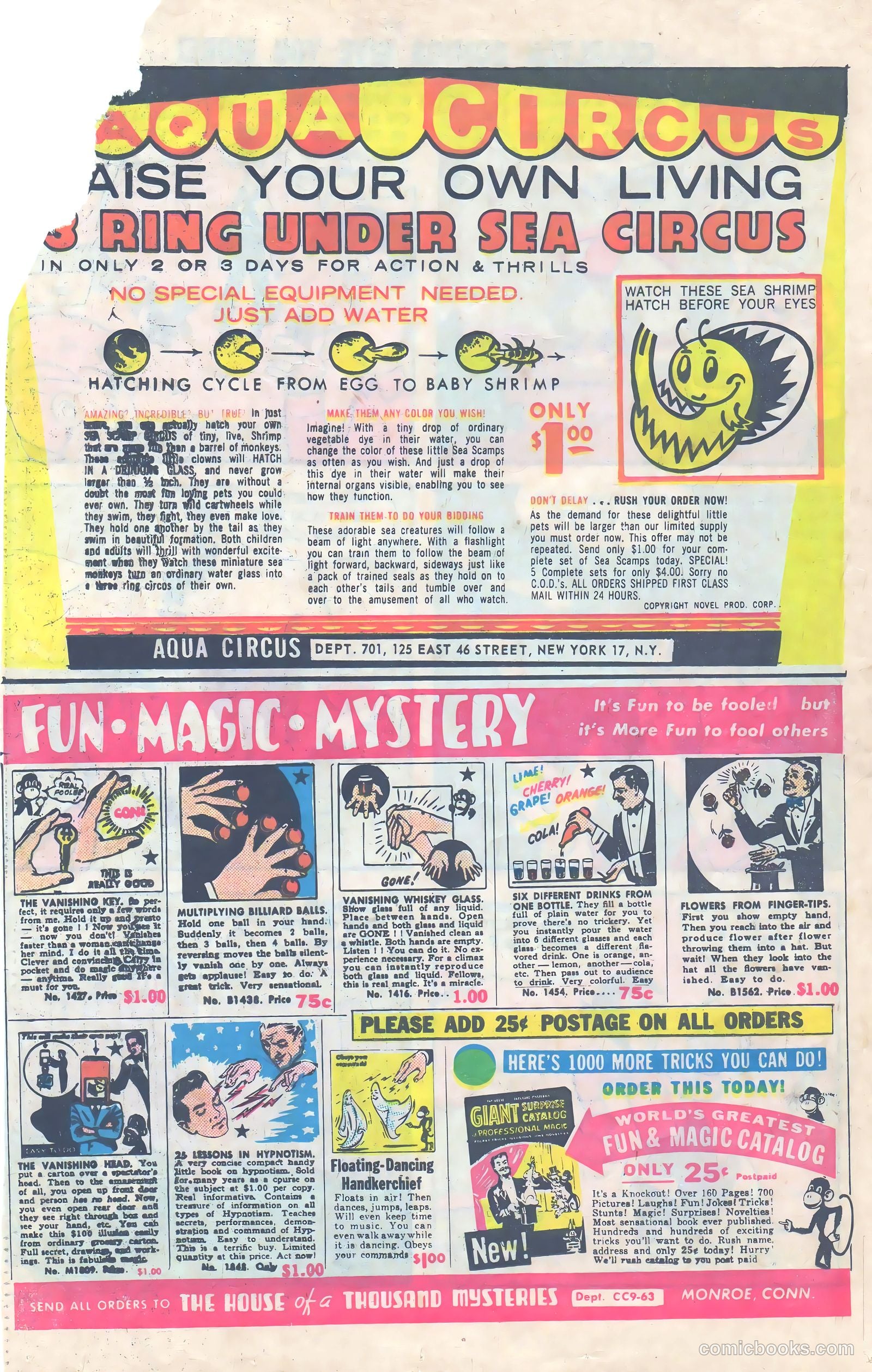 Li'l Genius #46 — page 22 of 36