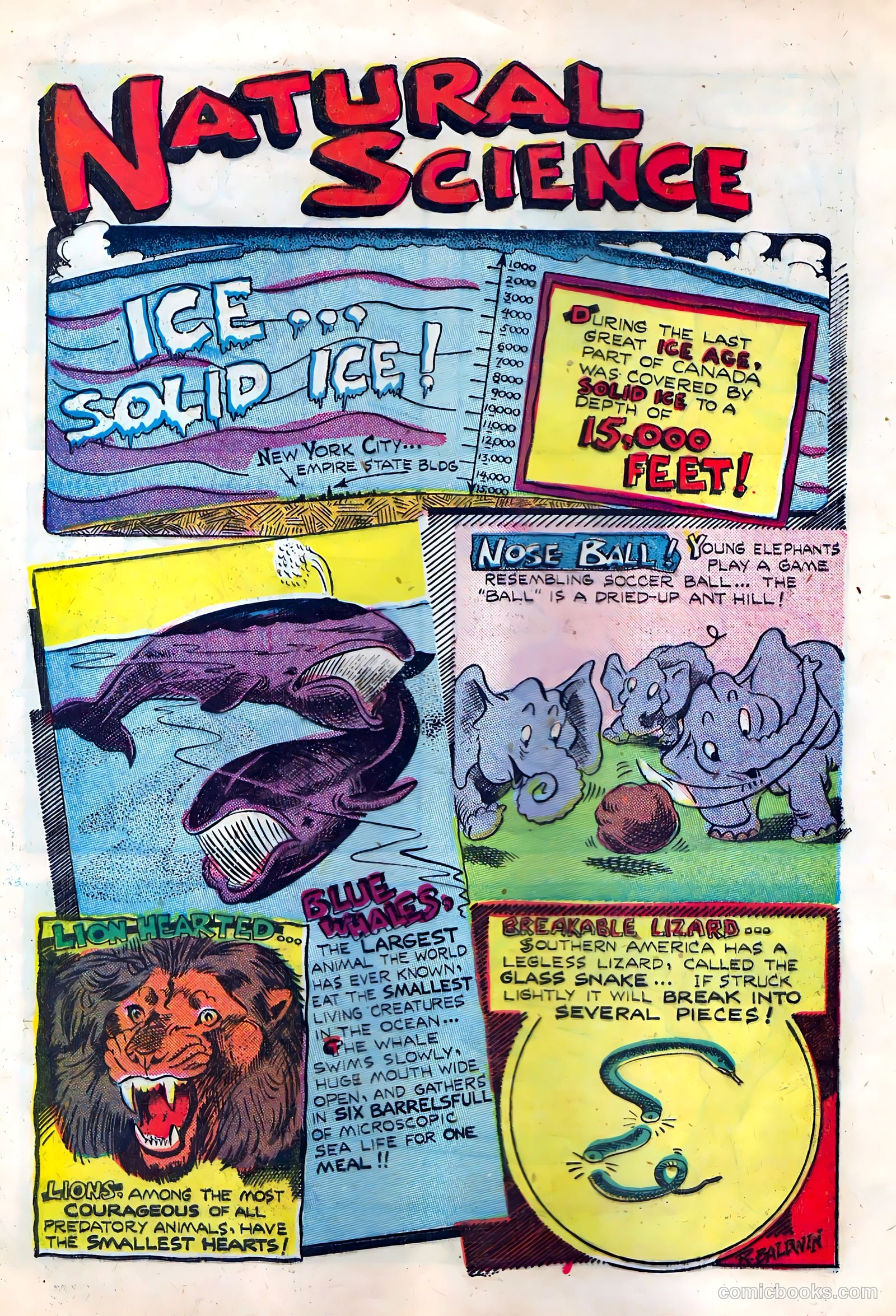 Li'l Pan #6 — page 20 of 36