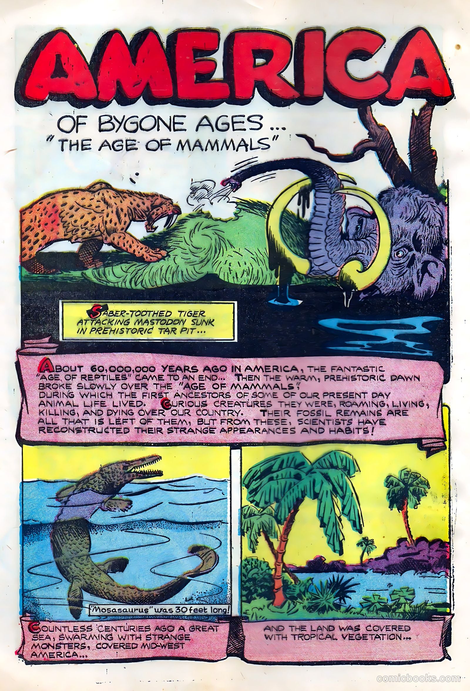 Li'l Pan #6 — page 24 of 36