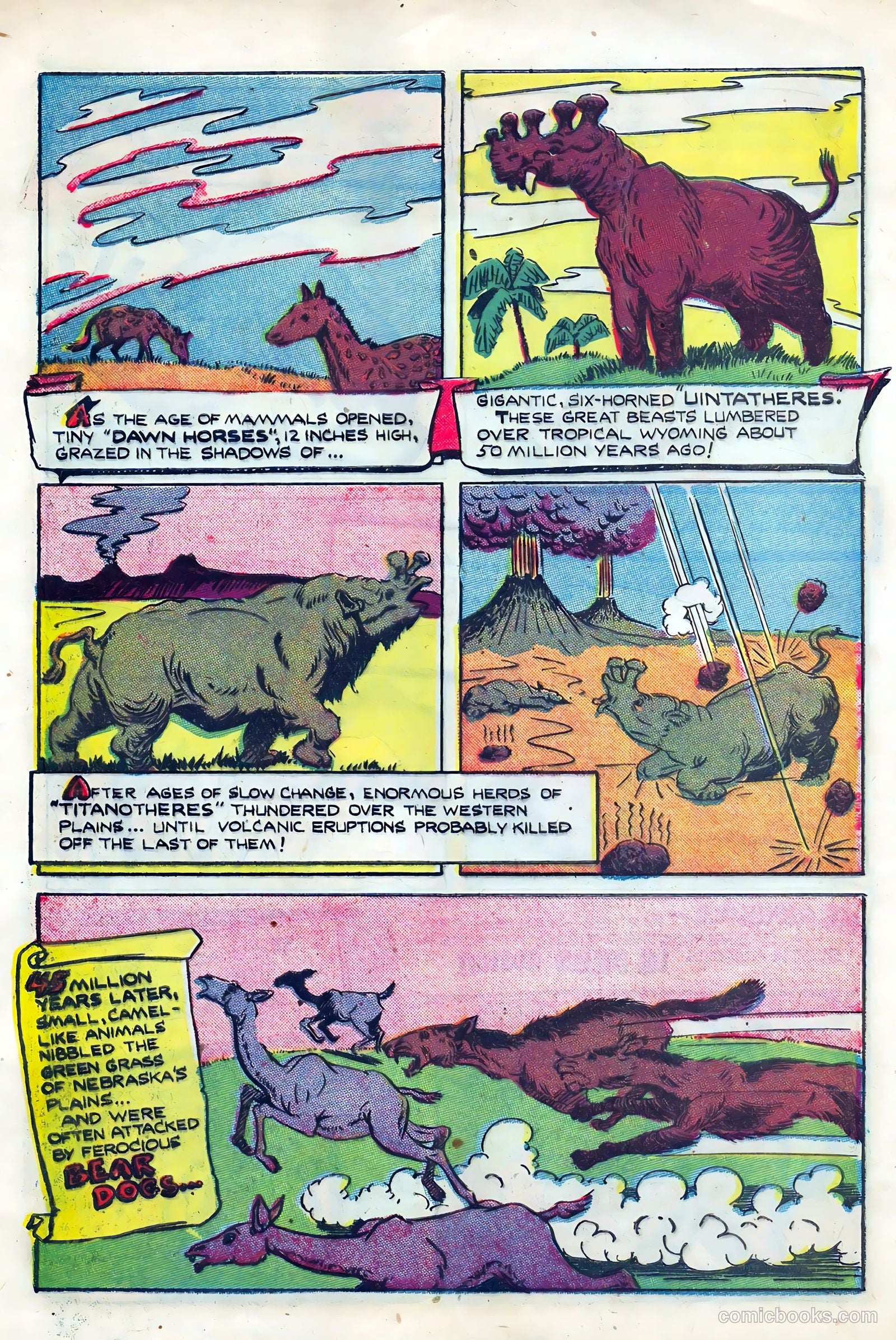 Li'l Pan #6 — page 25 of 36