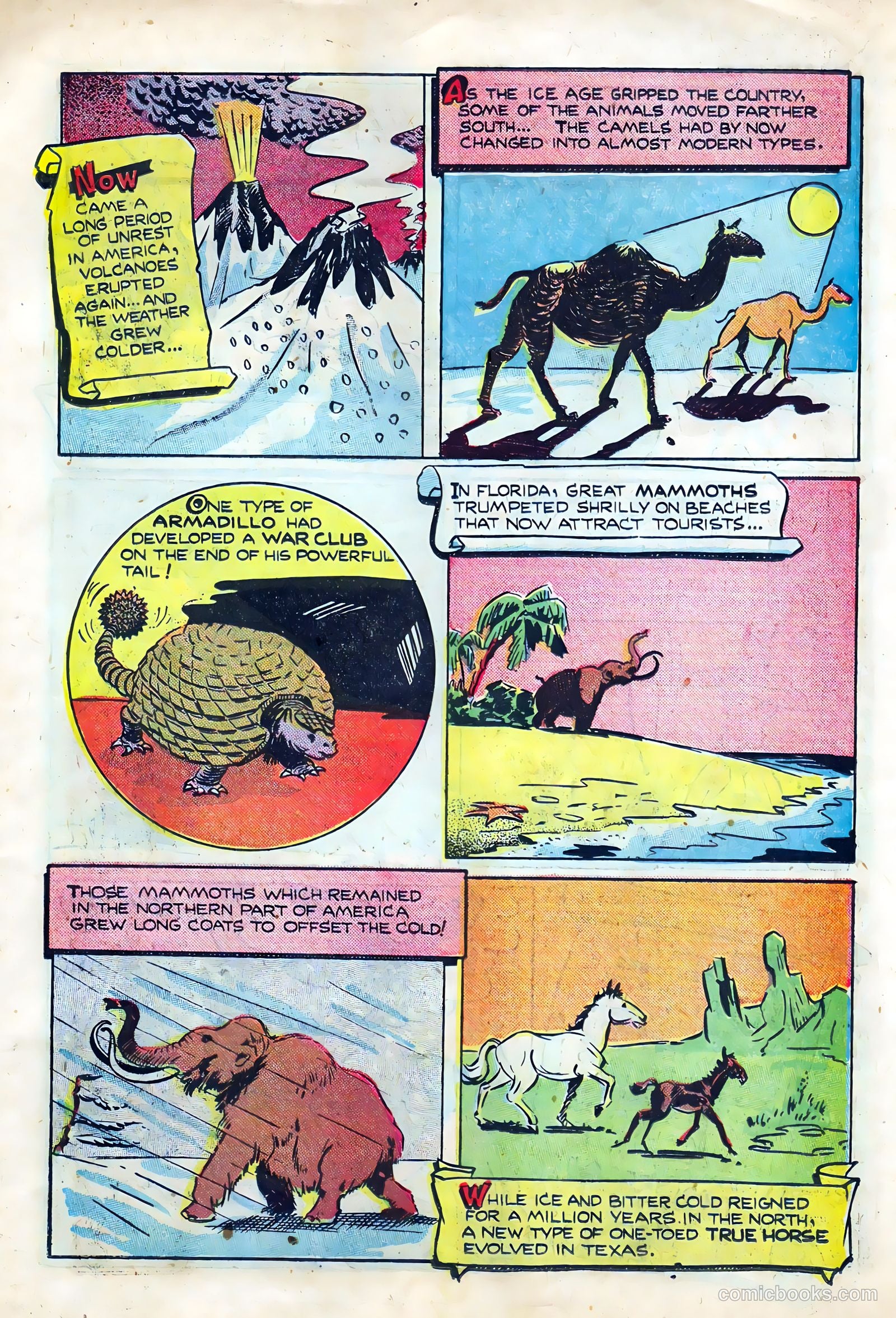 Li'l Pan #6 — page 27 of 36