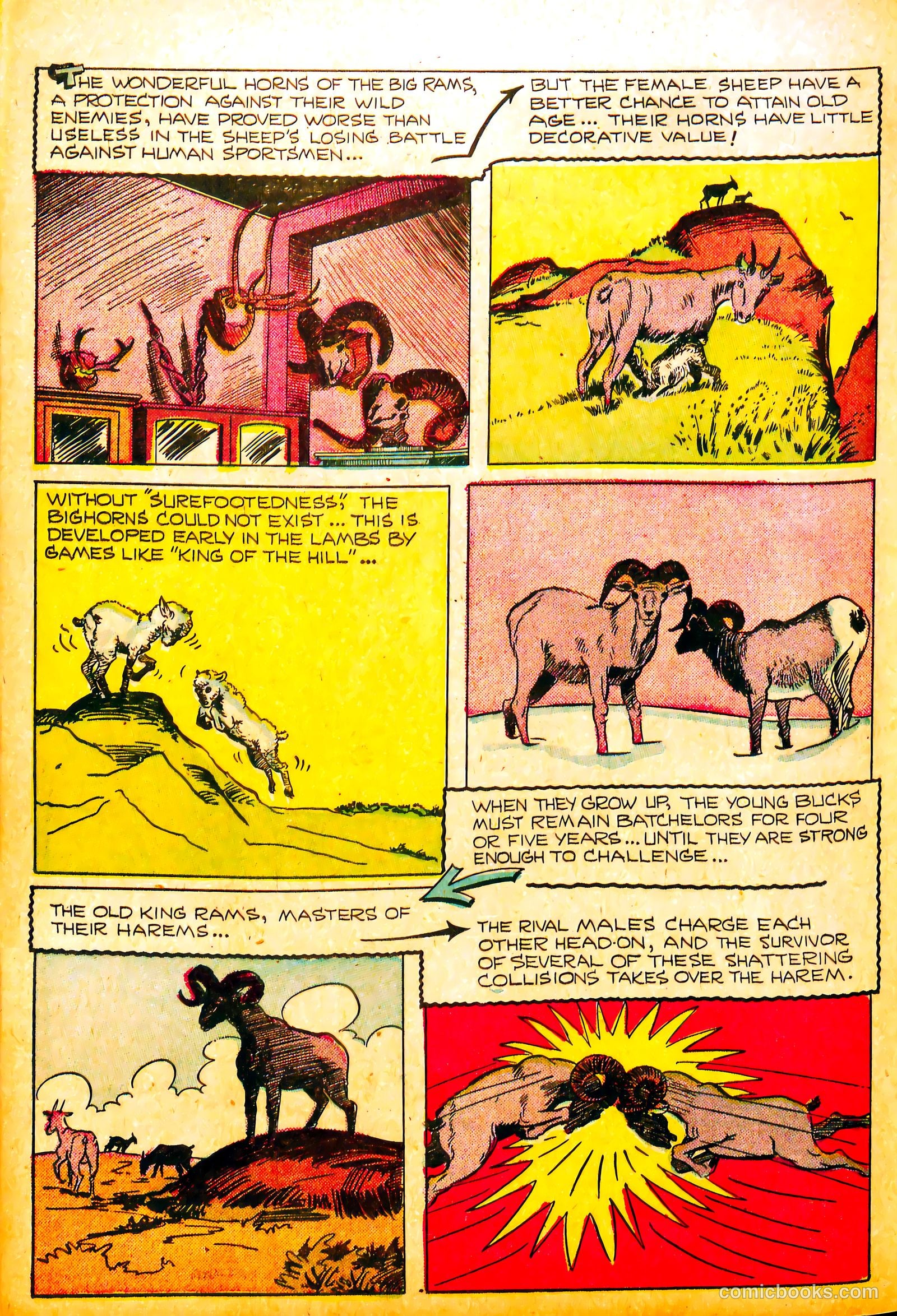 Li'l Pan #8 — page 24 of 36