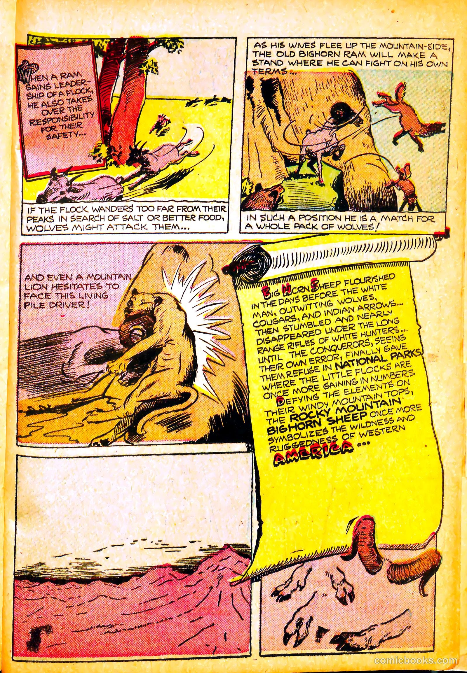 Li'l Pan #8 — page 25 of 36