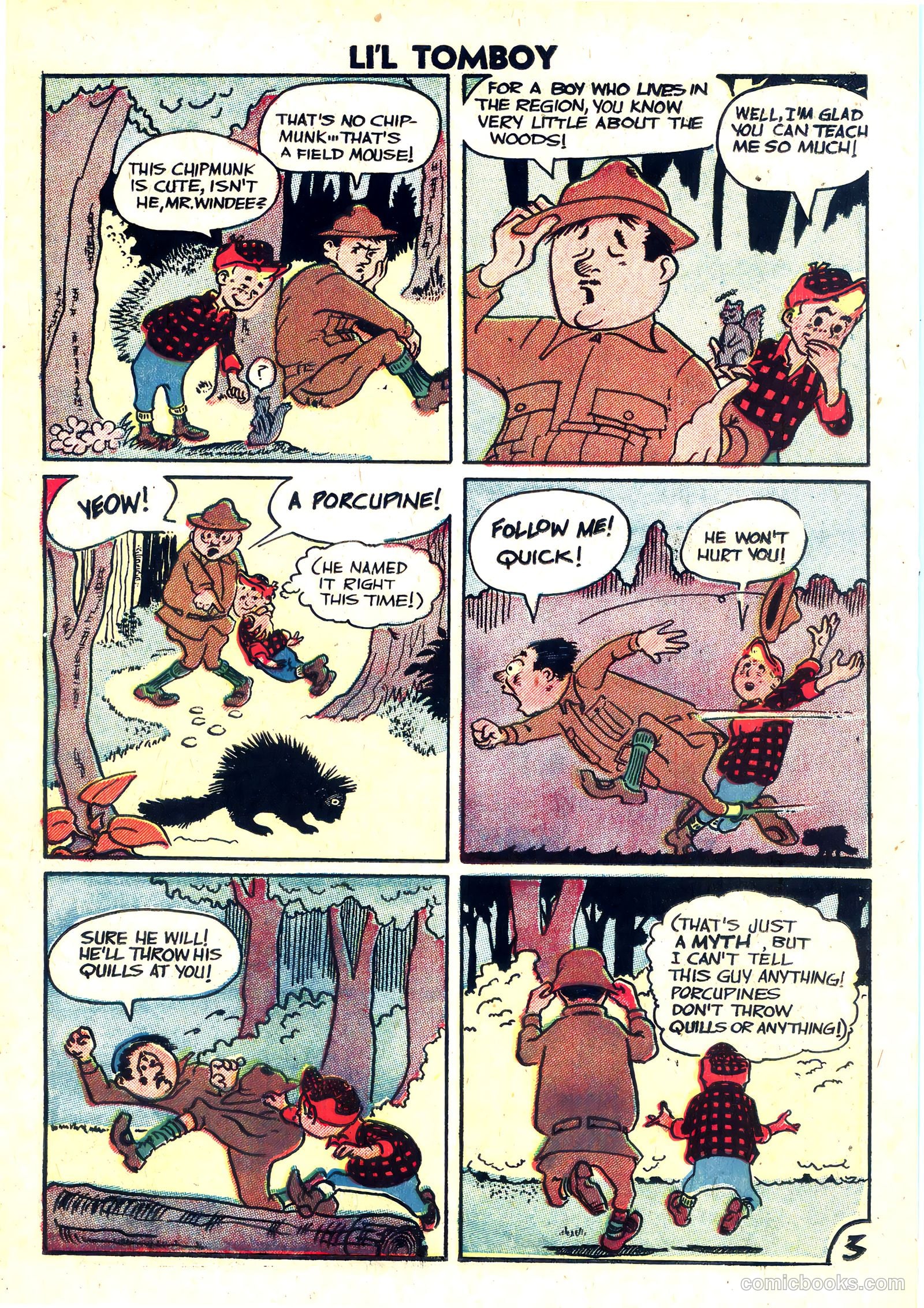 Li'l Tomboy #99 — page 19 of 36