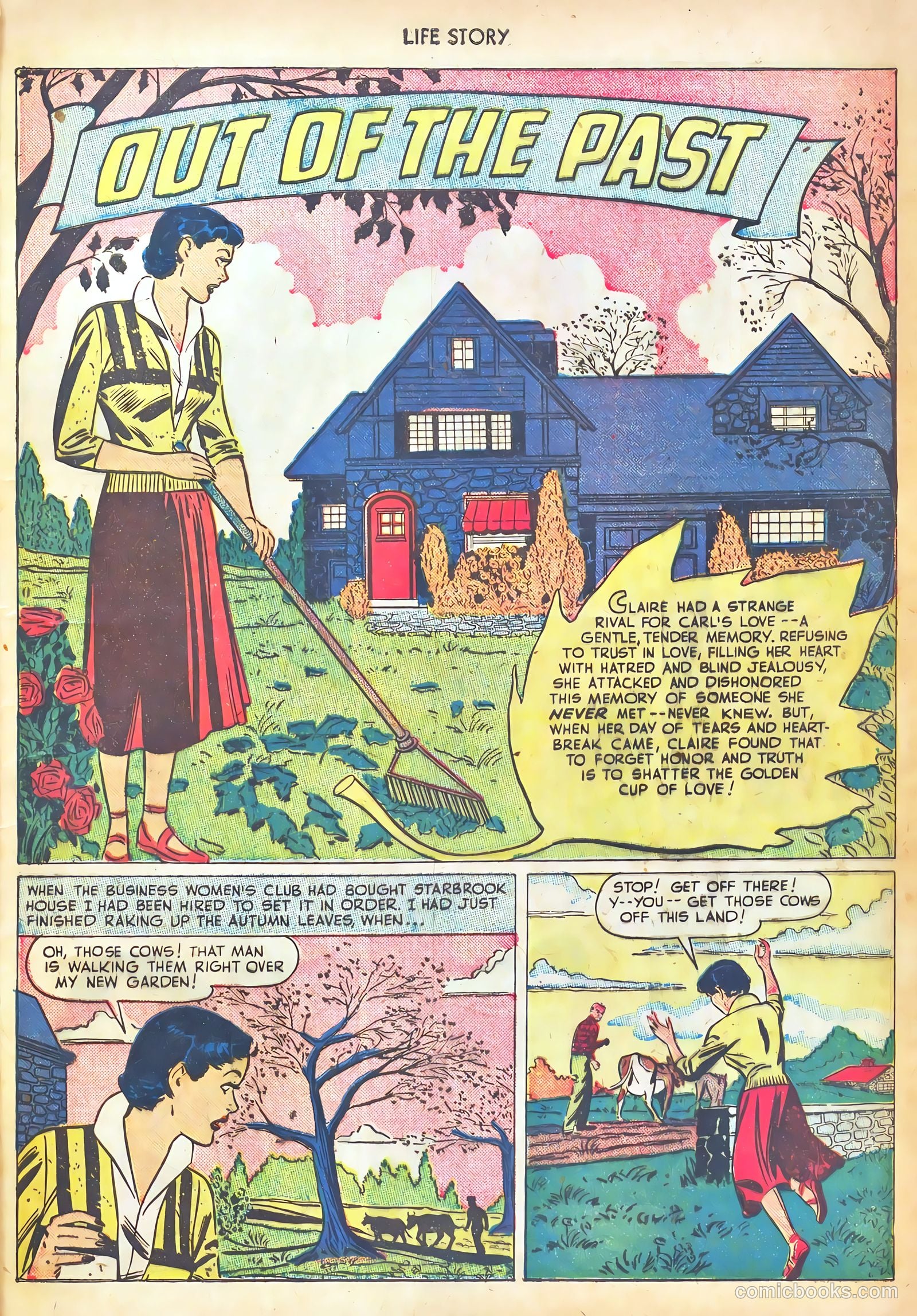 Life Story #14 — page 17 of 53