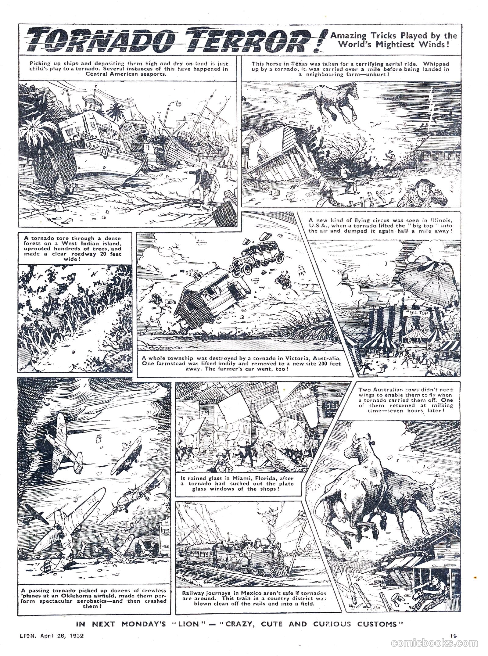 Lion #10 — page 19 of 20