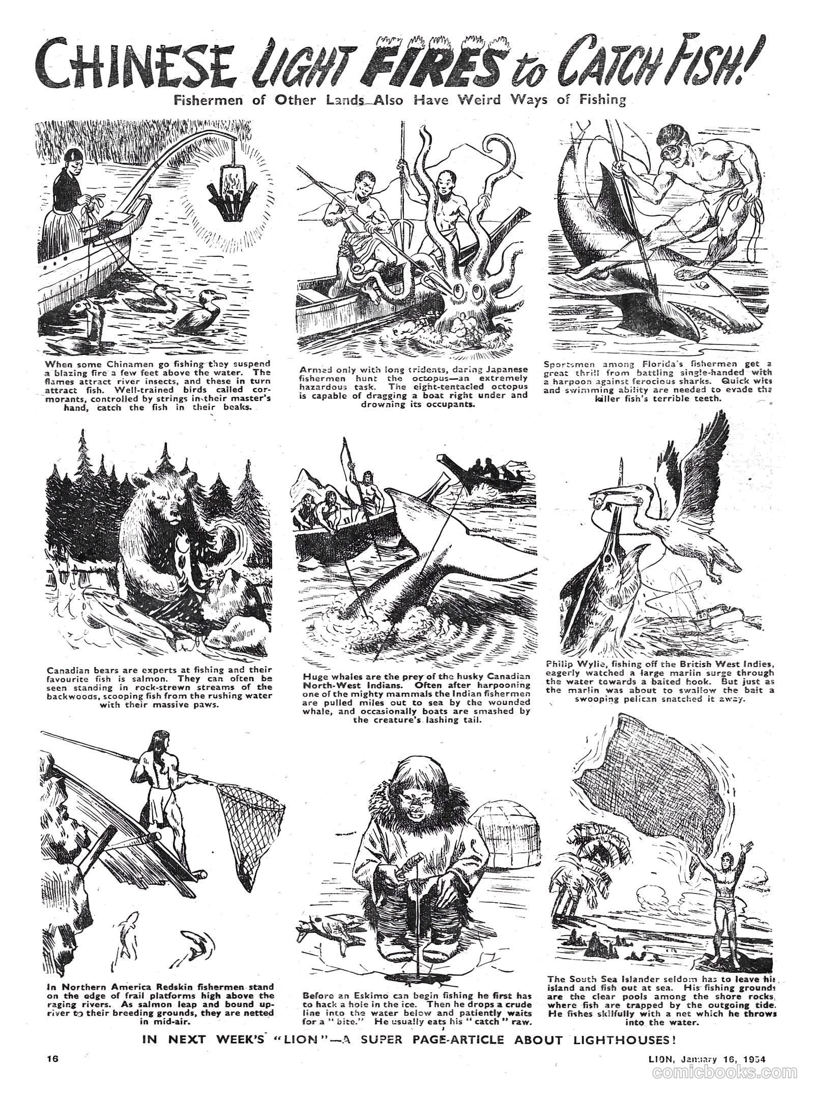 Lion #100 — page 16 of 24