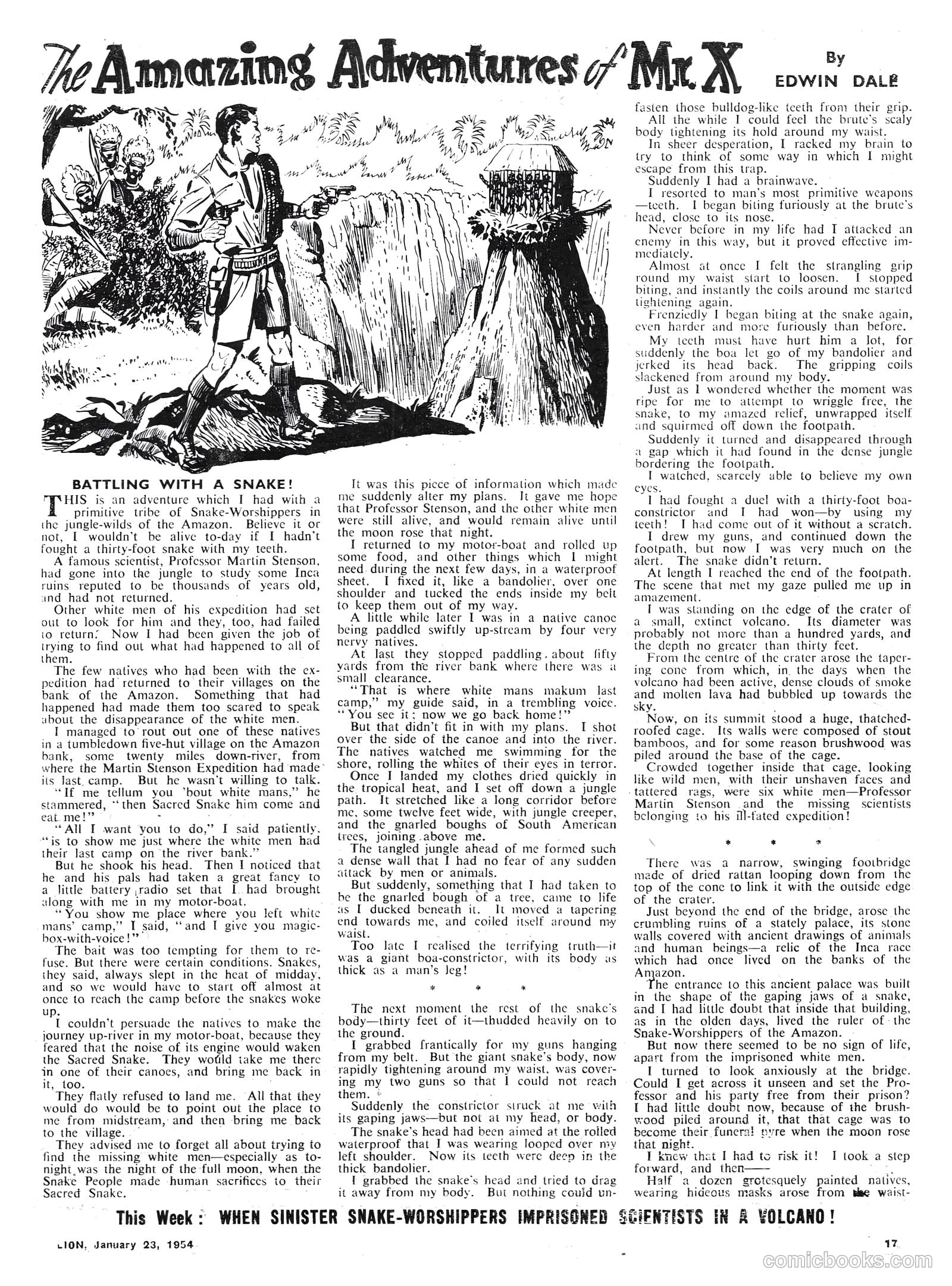 Lion #101 — page 17 of 20