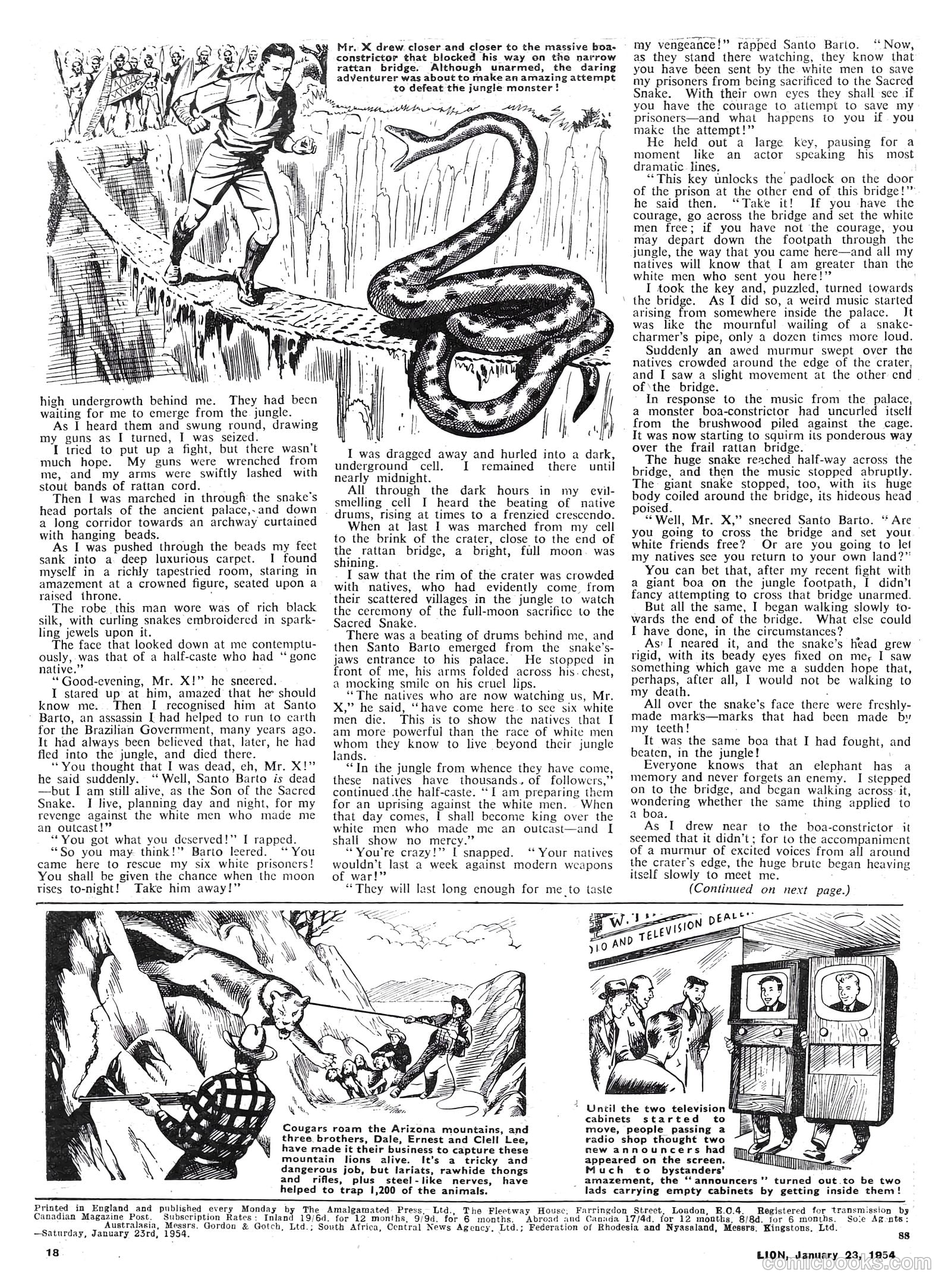 Lion #101 — page 18 of 20