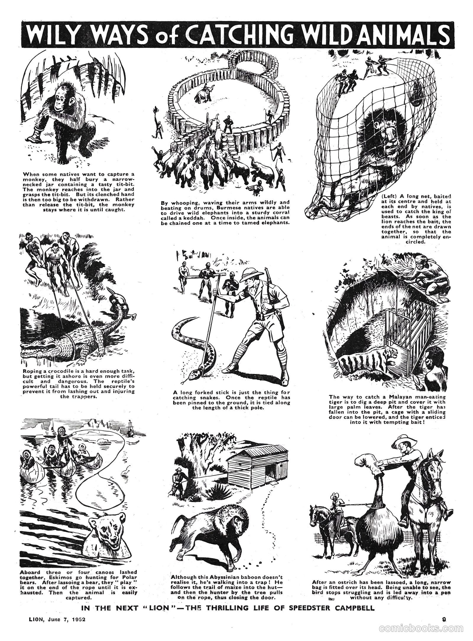 Lion #16 — page 9 of 20