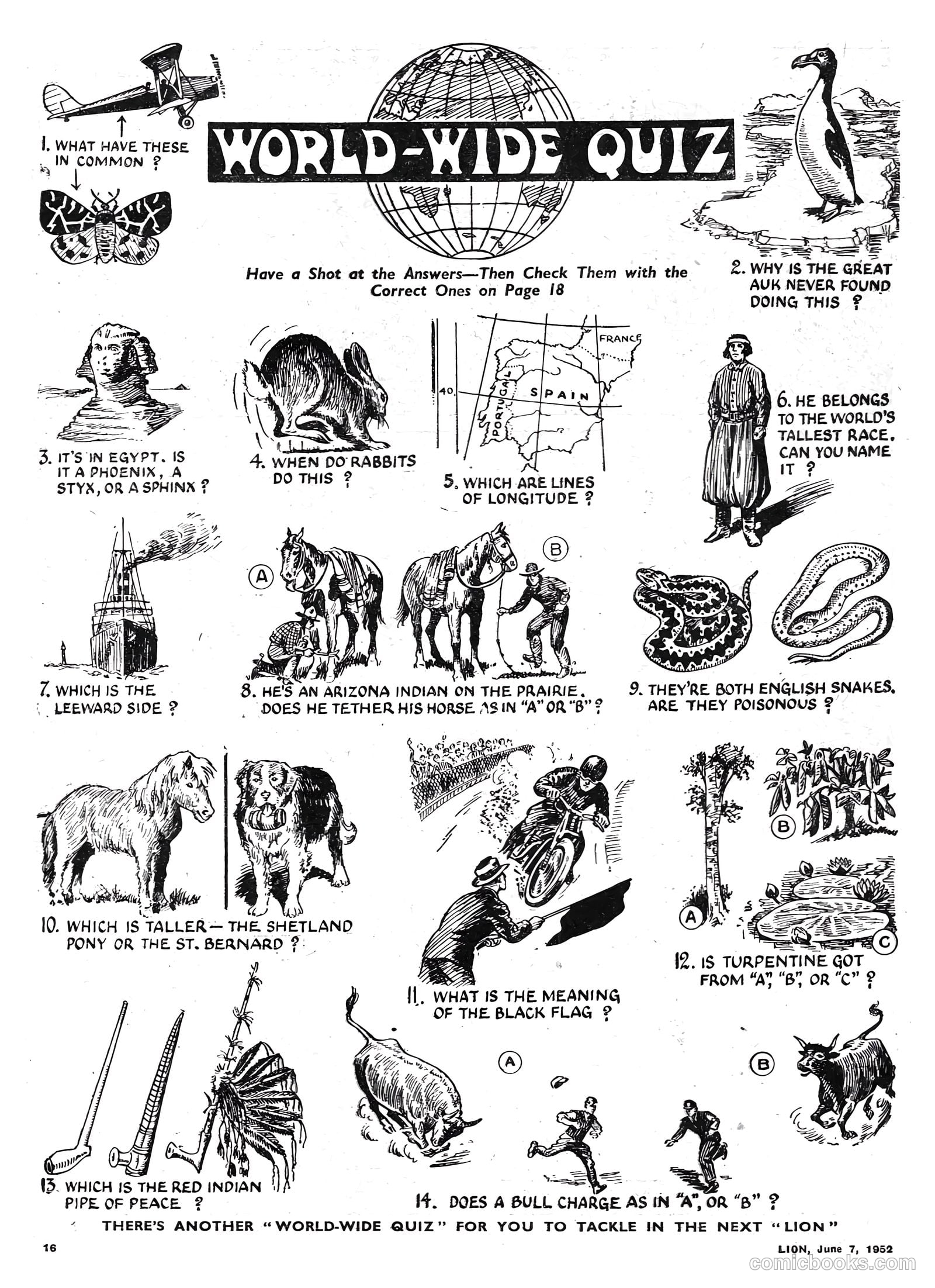 Lion #16 — page 16 of 20