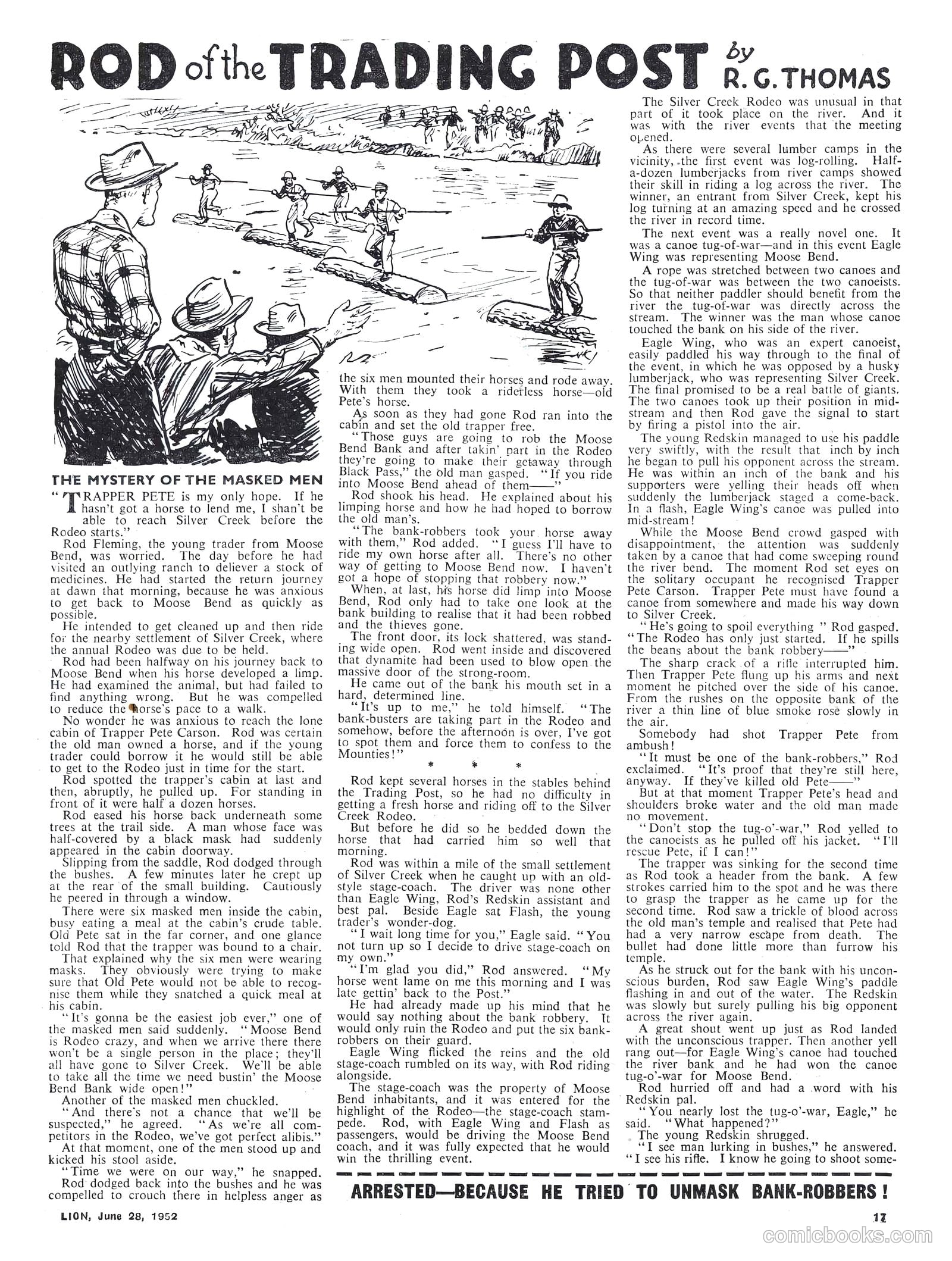 Lion #19 — page 17 of 20