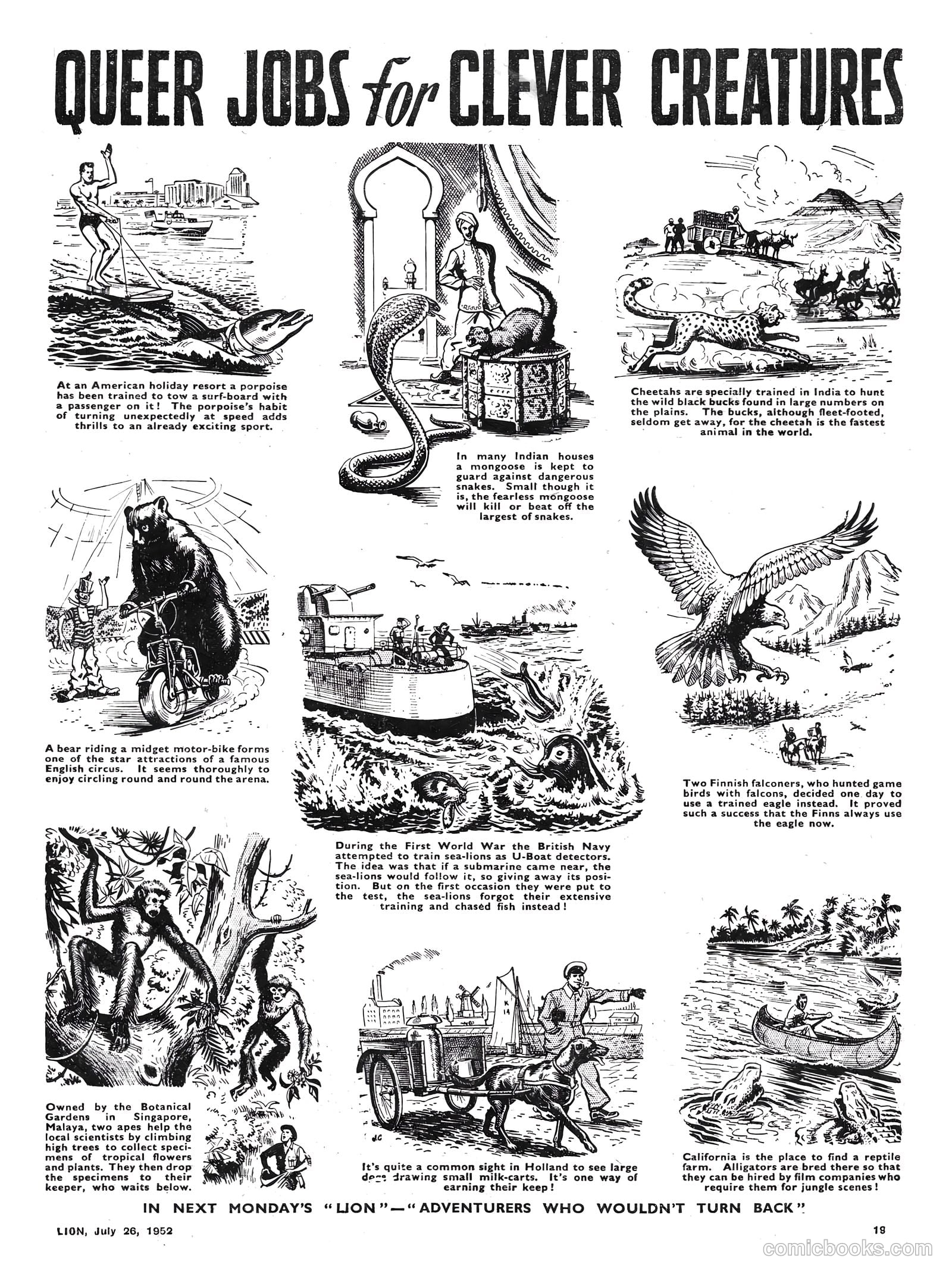 Lion #23 — page 19 of 20