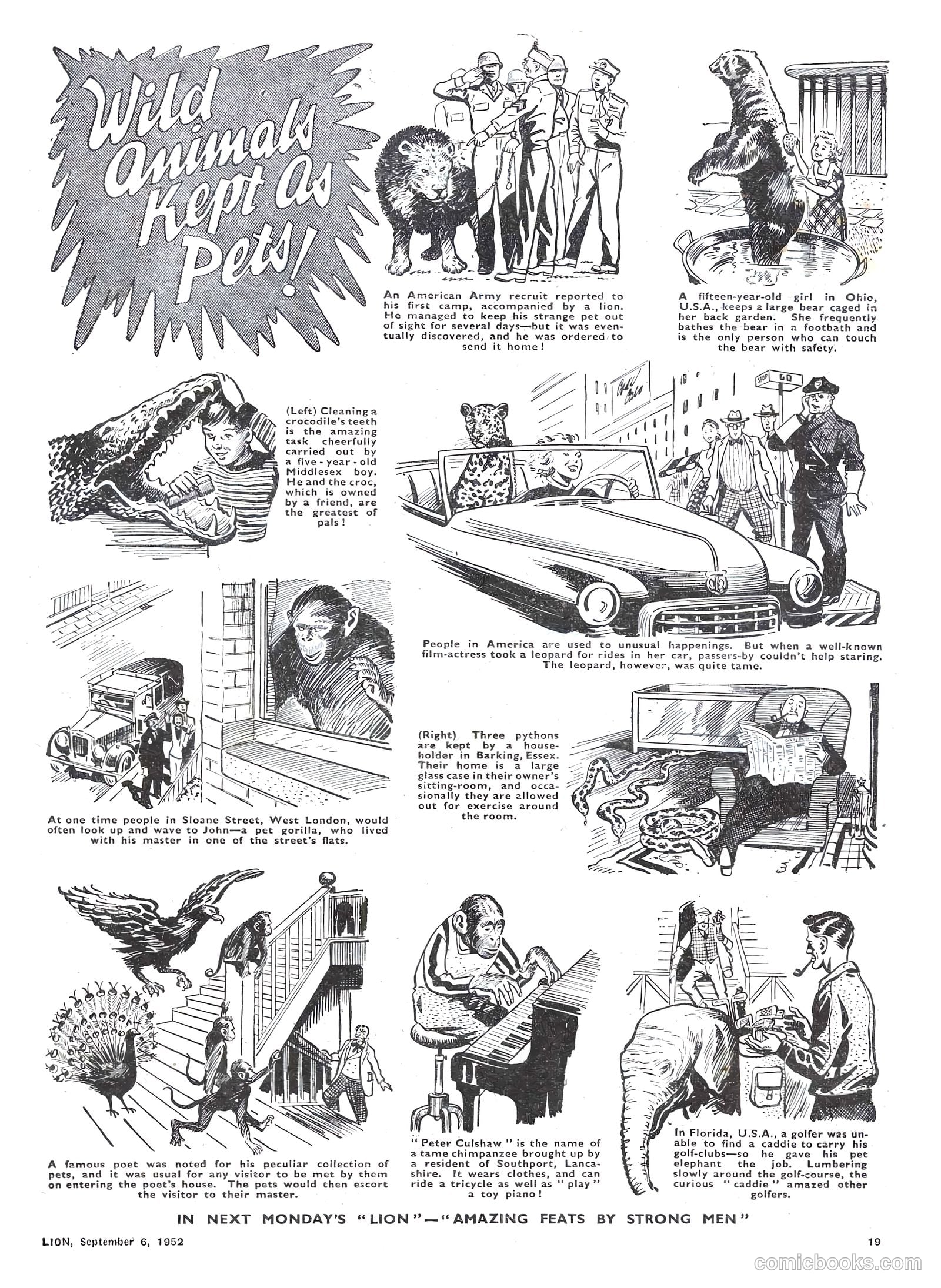 Lion #29 — page 19 of 20