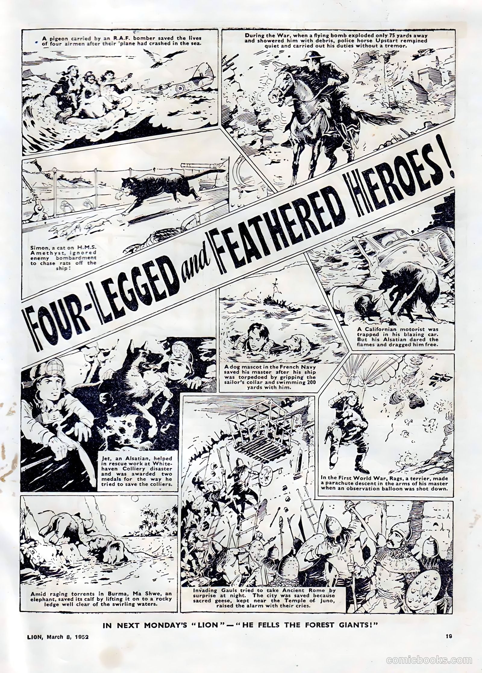 Lion #3 — page 19 of 20