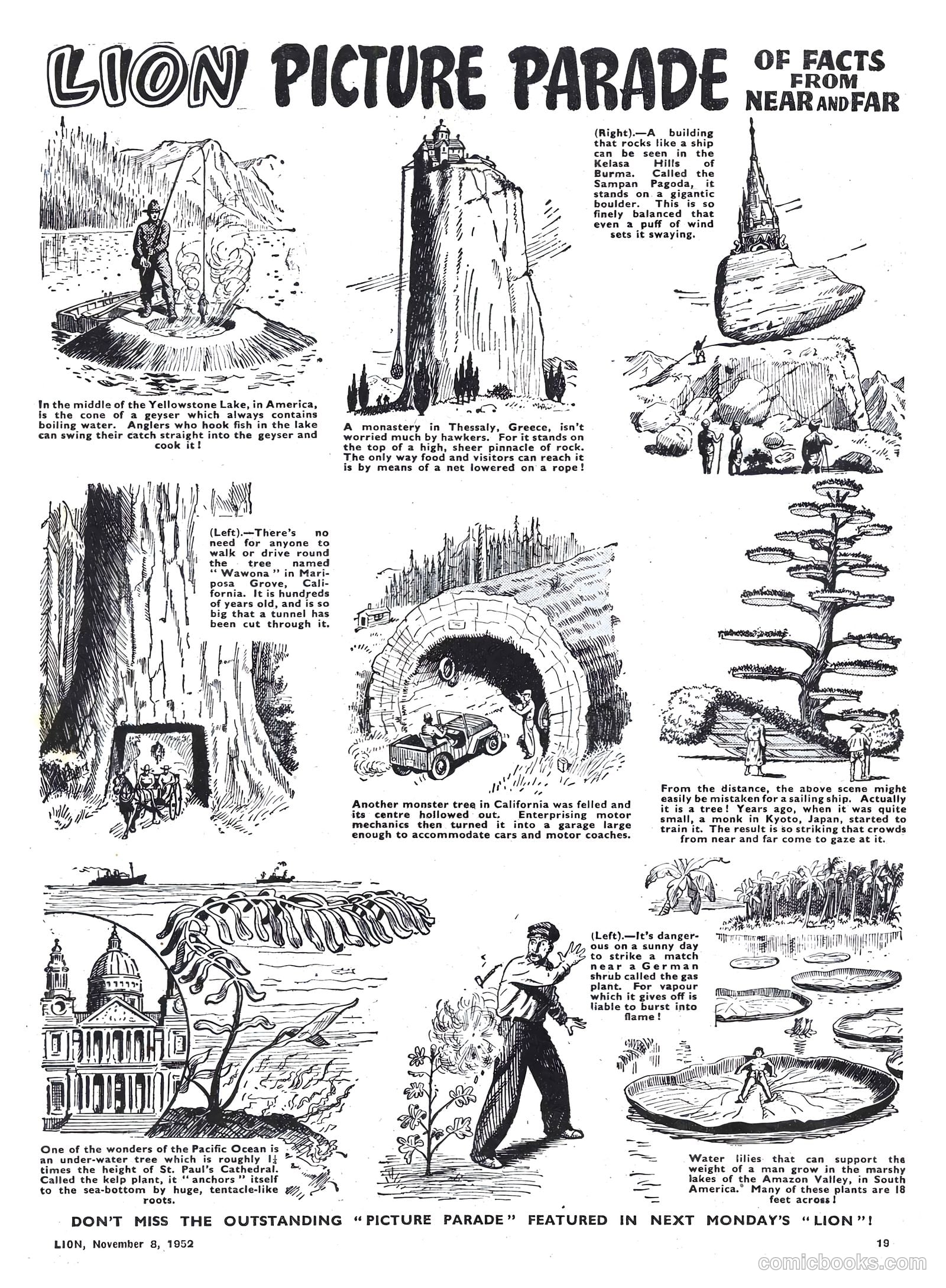 Lion #38 — page 19 of 20