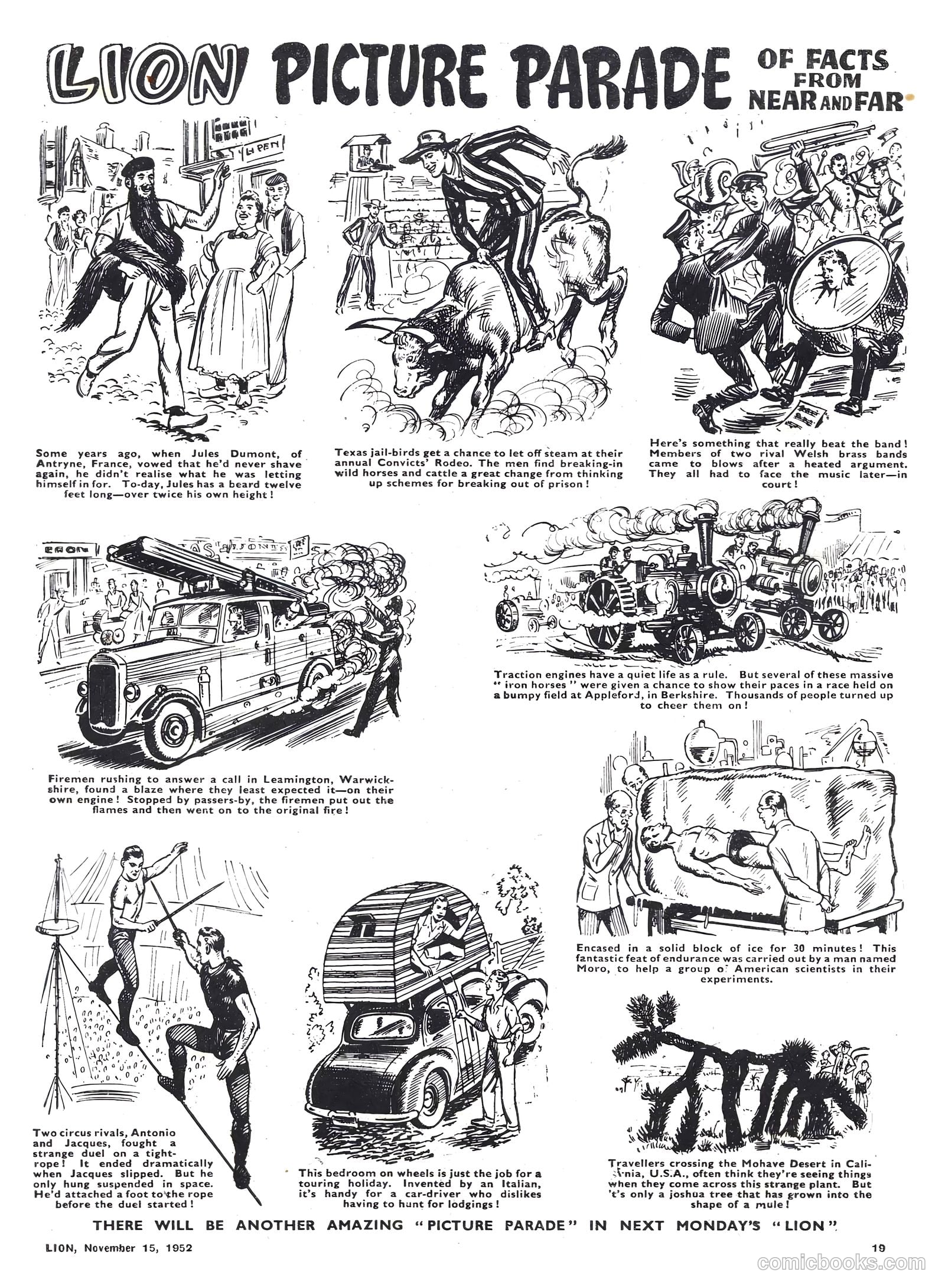 Lion #39 — page 19 of 20