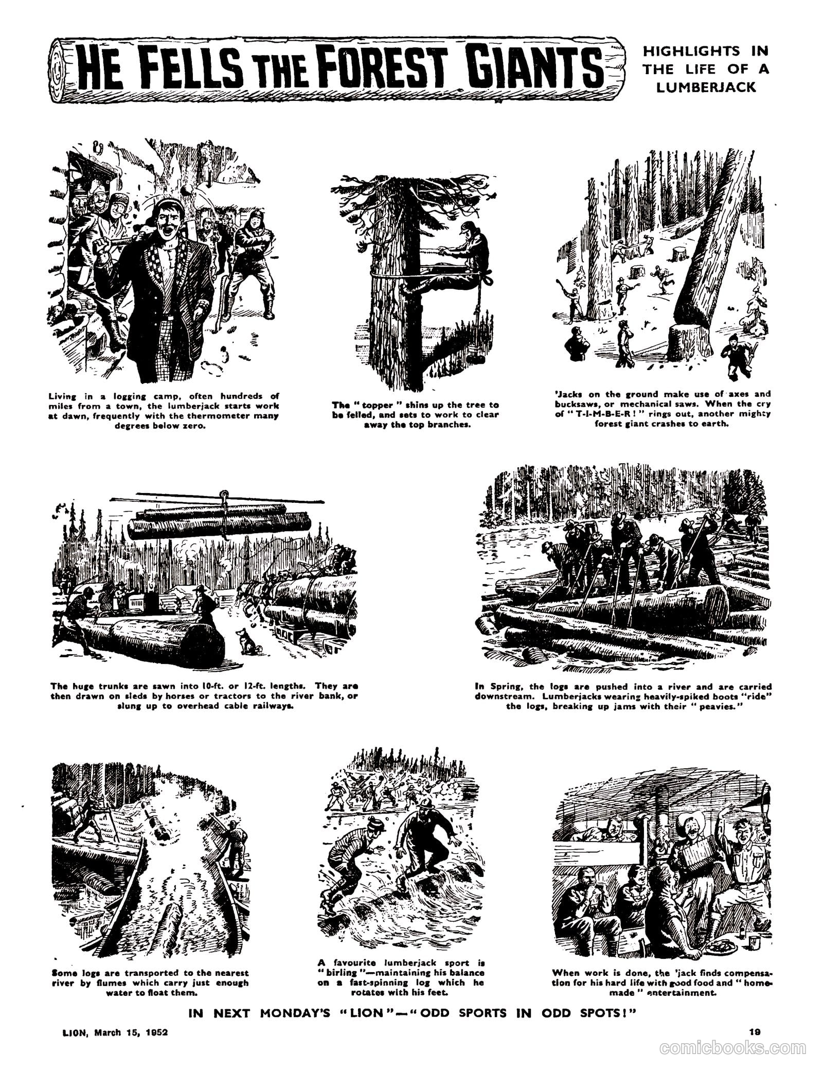 Lion #4 — page 19 of 20