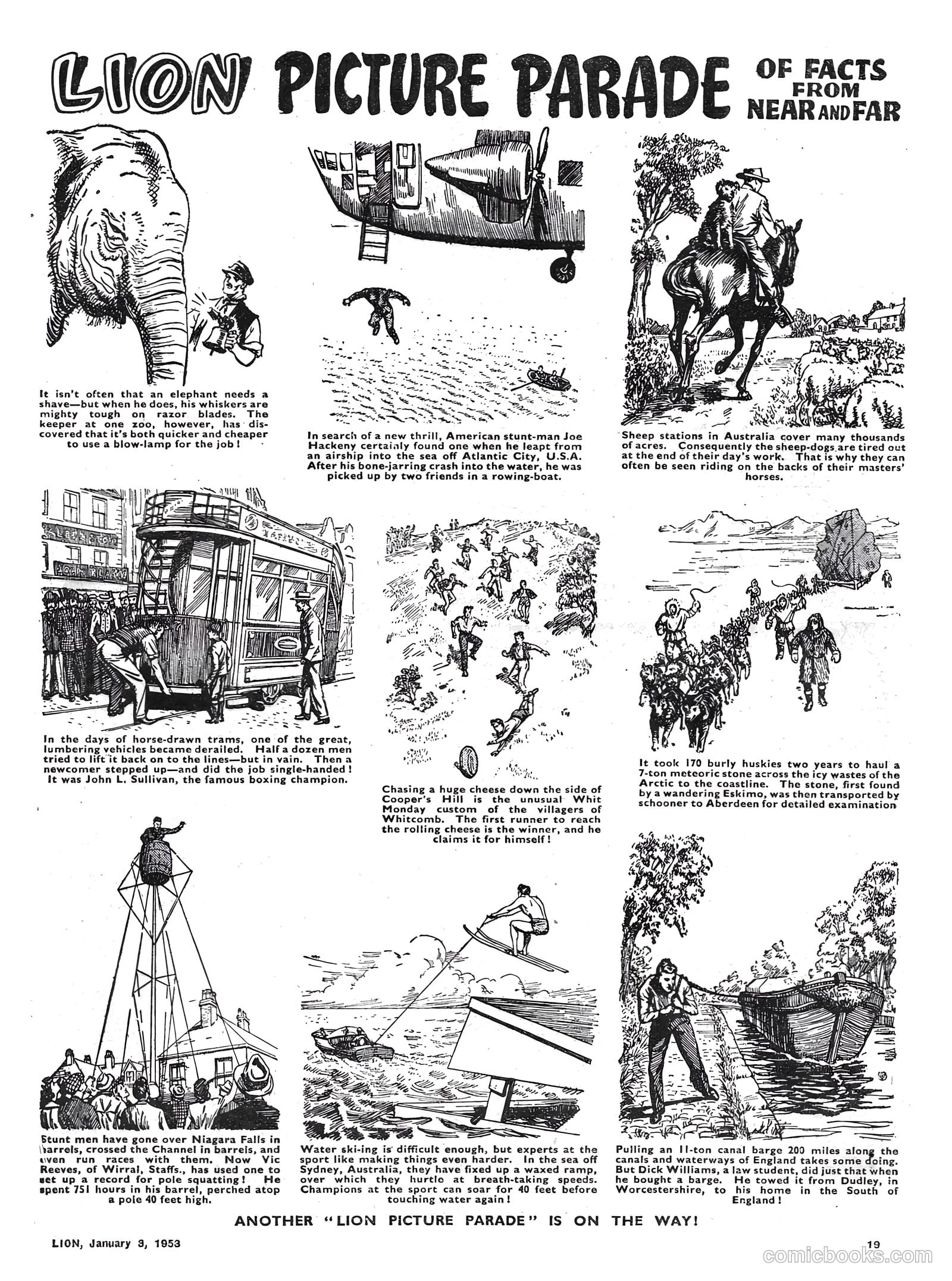 Lion #46 — page 19 of 20