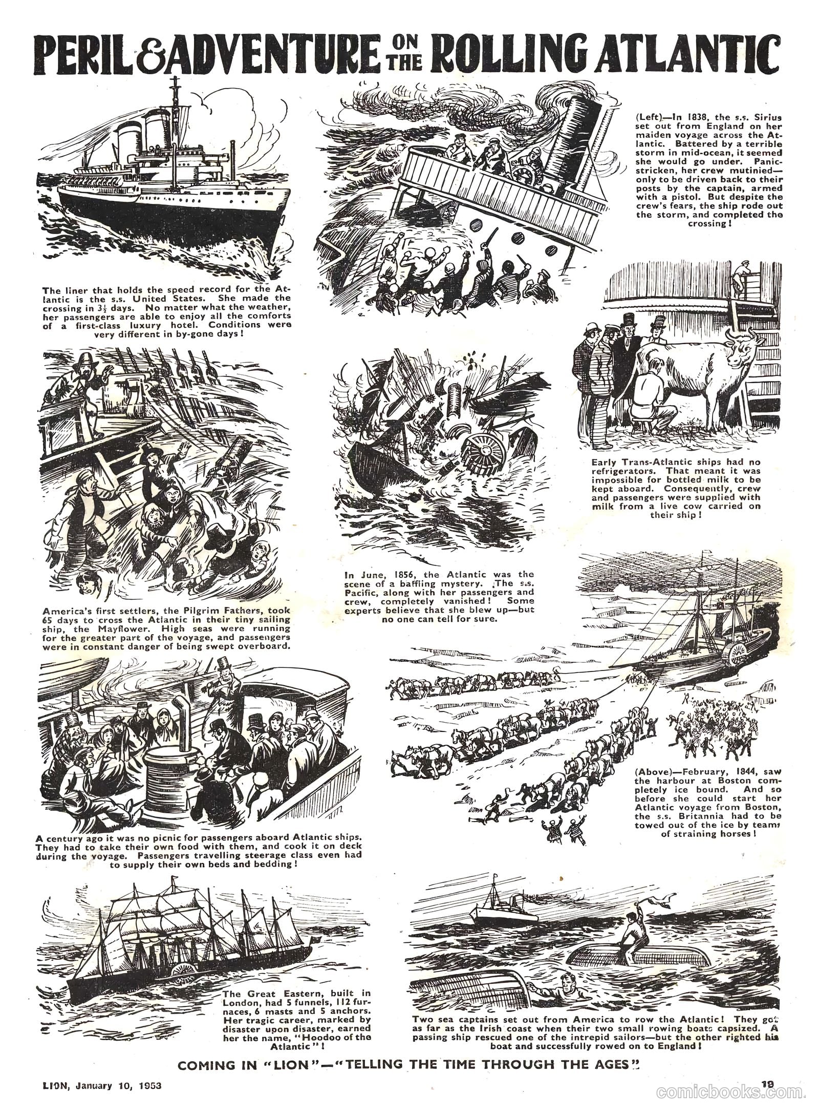 Lion #47 — page 19 of 20