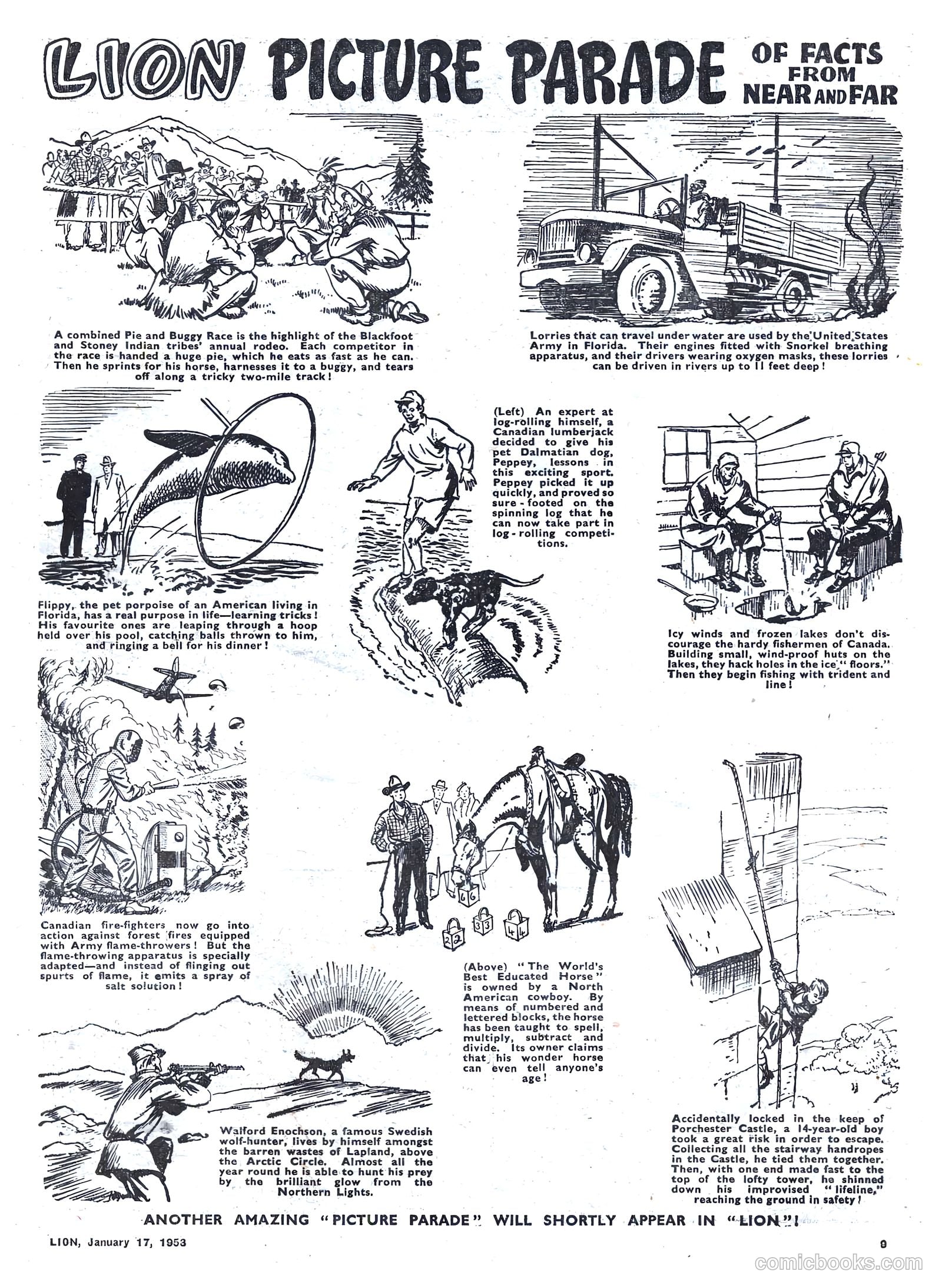 Lion #48 — page 9 of 20