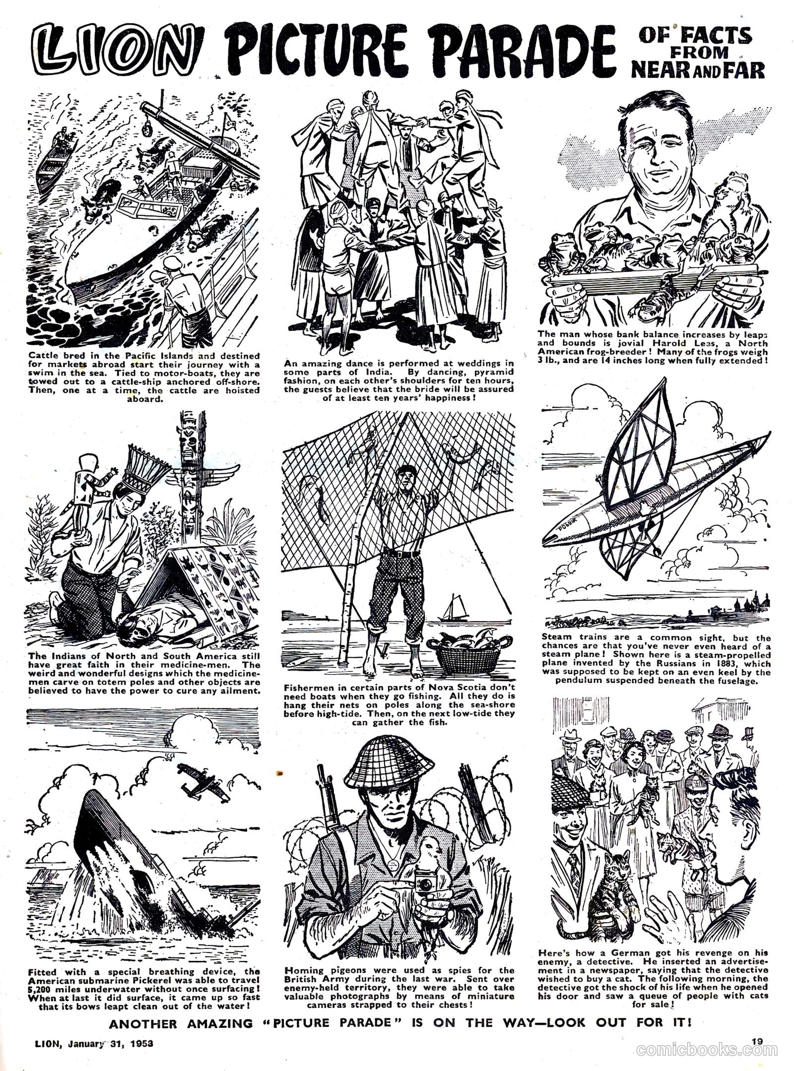 Lion #50 — page 19 of 20