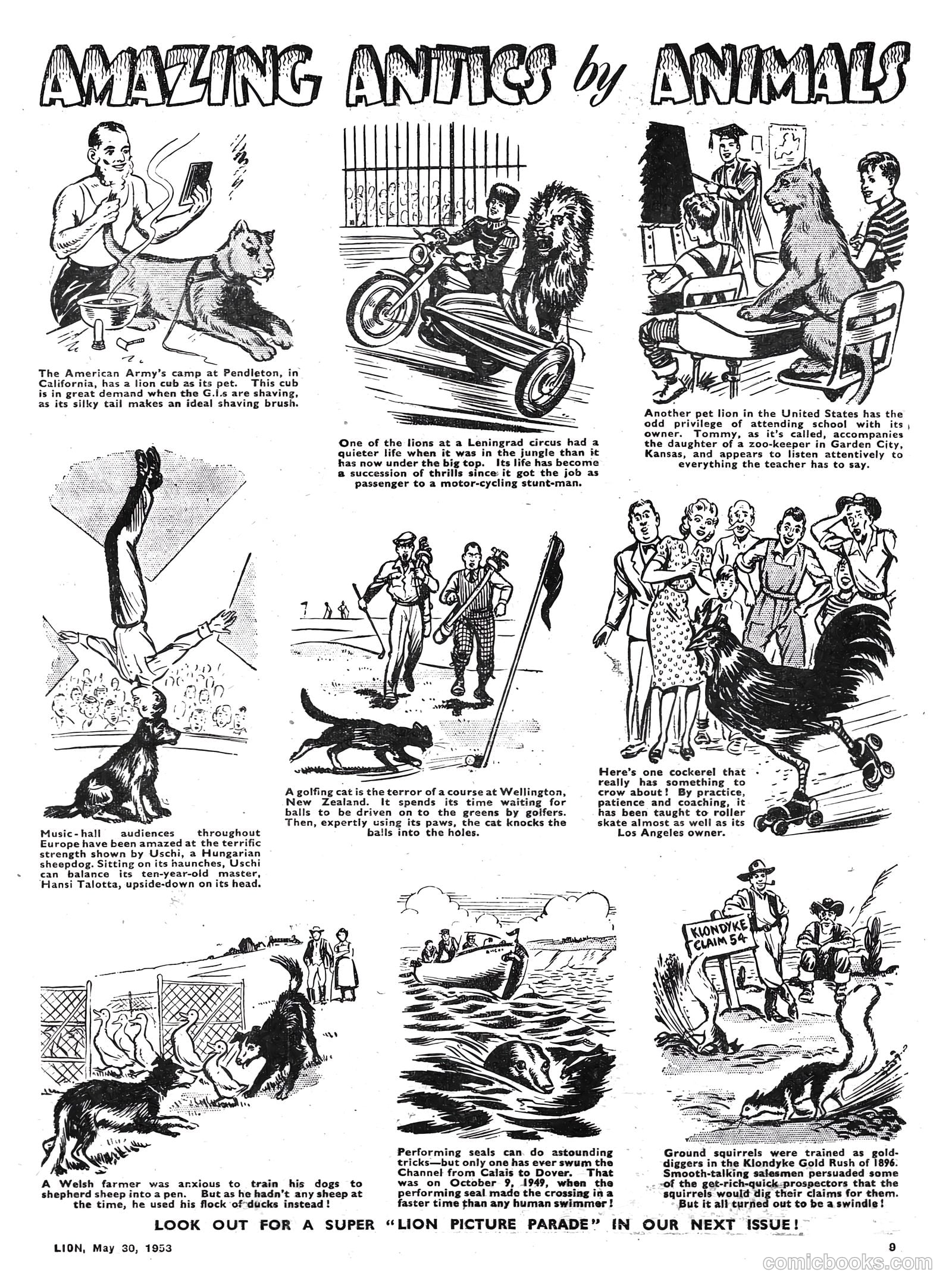 Lion #67 — page 9 of 20