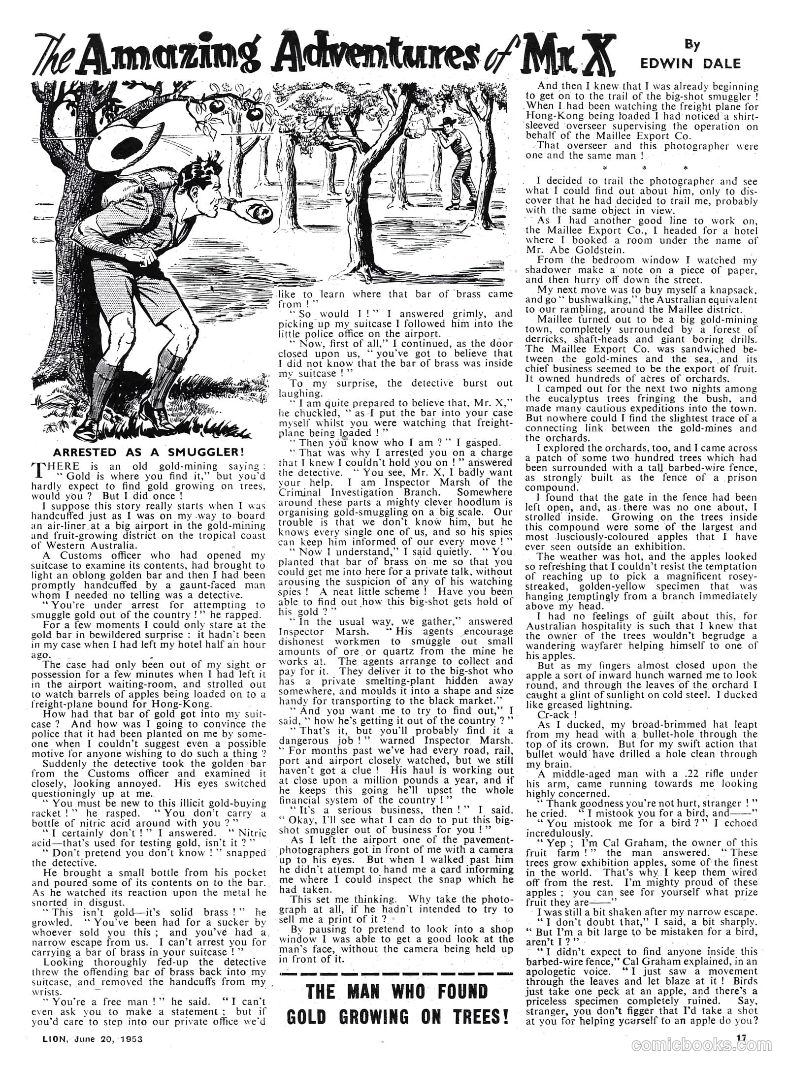 Lion #70 — page 17 of 20
