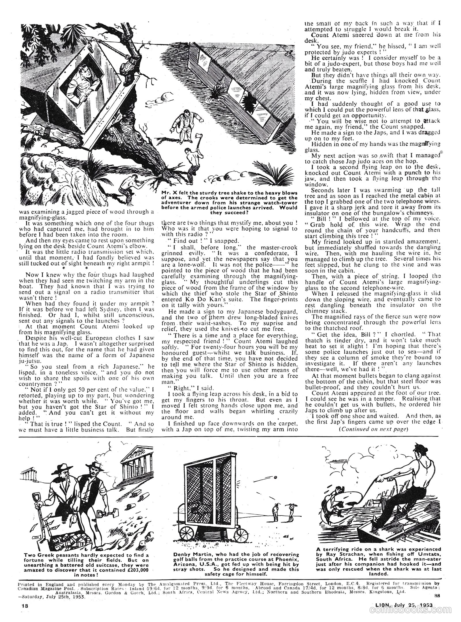 Lion #75 — page 18 of 20