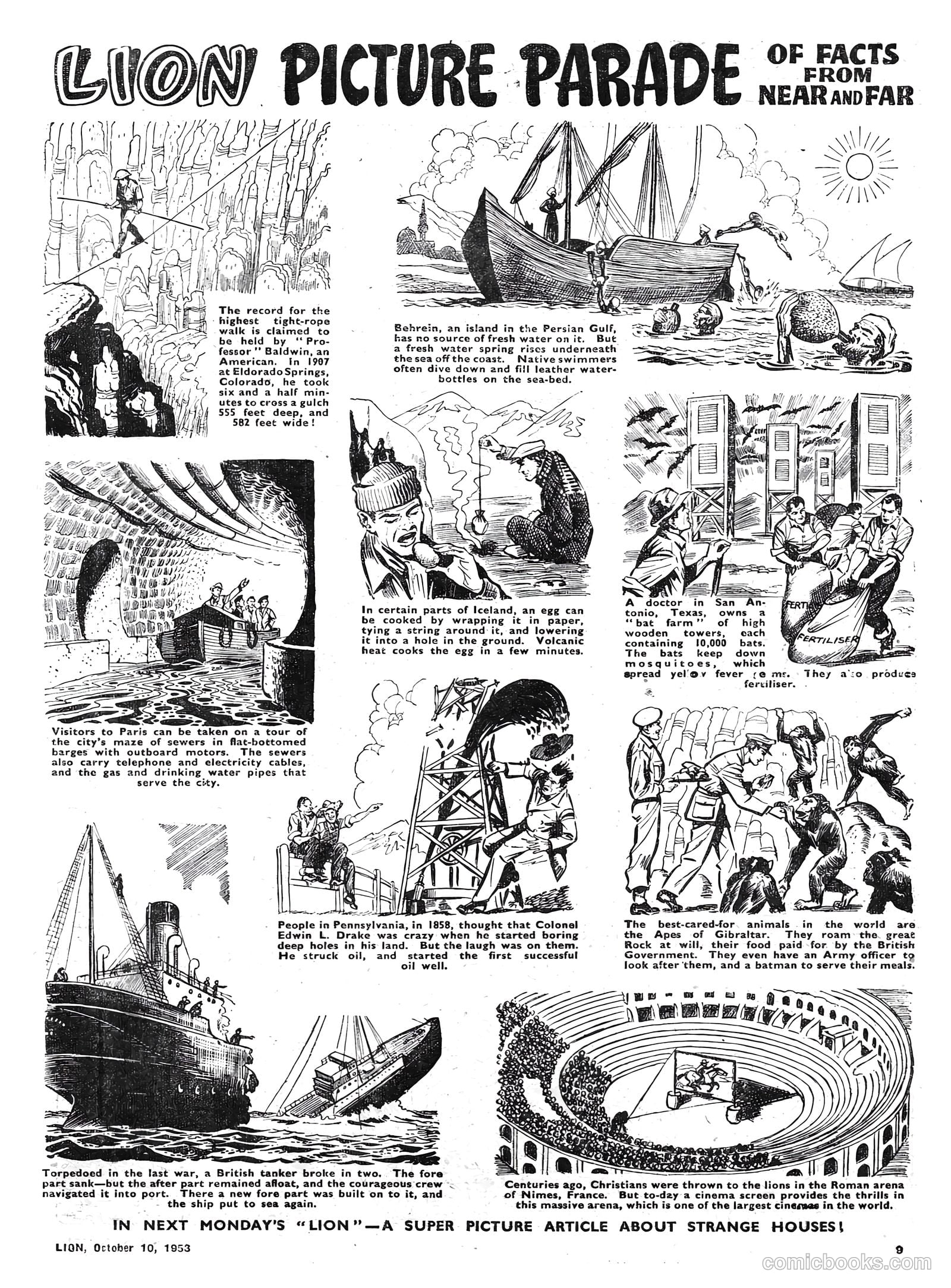 Lion #86 — page 9 of 20
