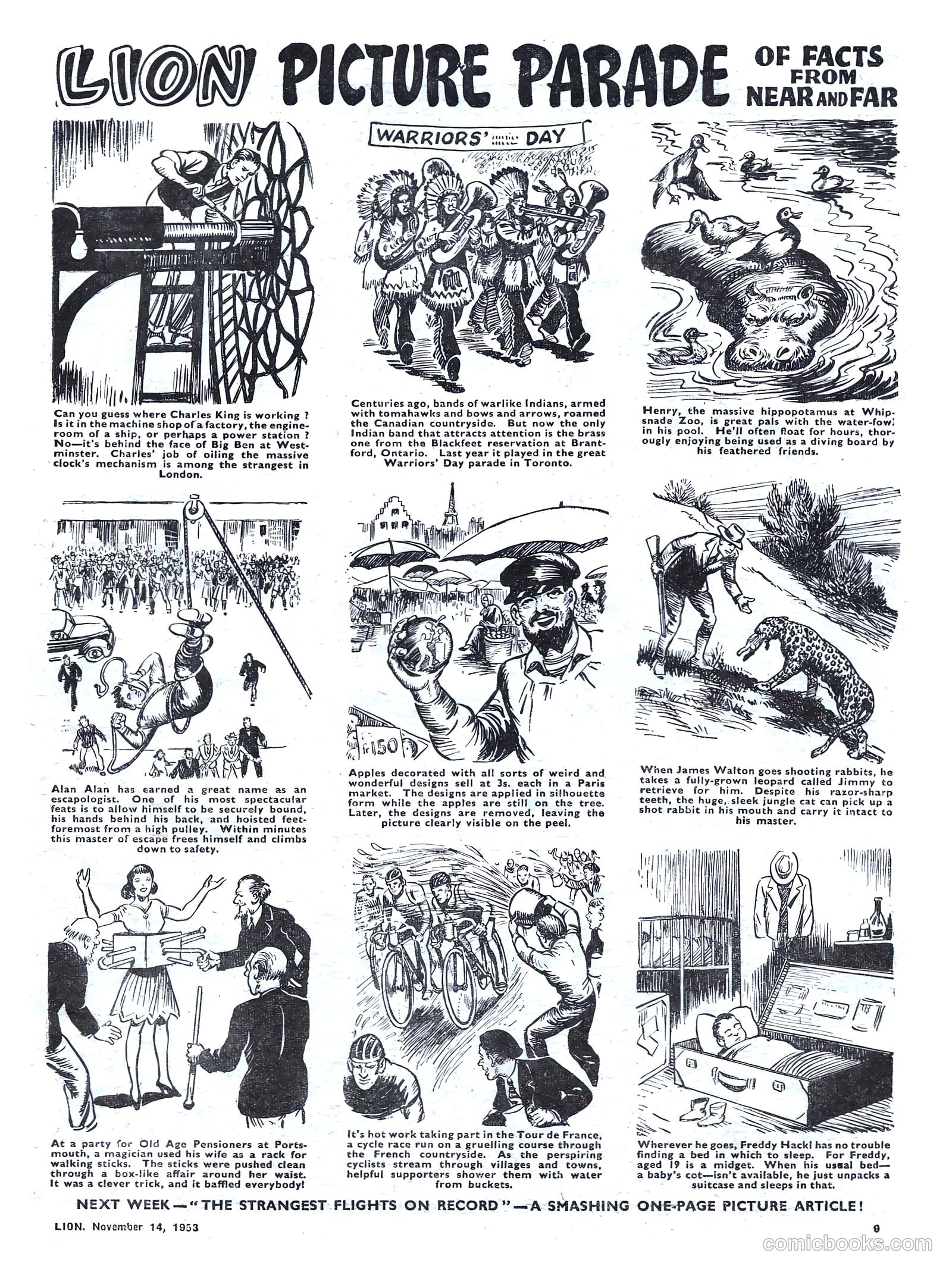 Lion #91 — page 9 of 20