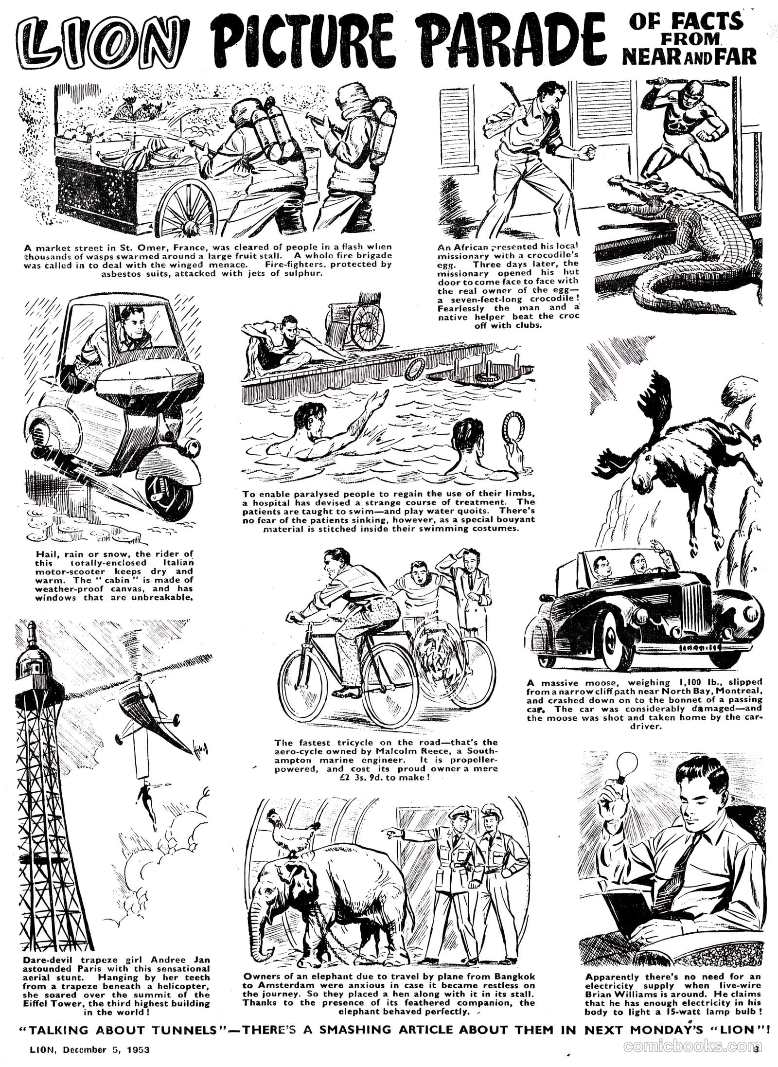 Lion #94 — page 9 of 20
