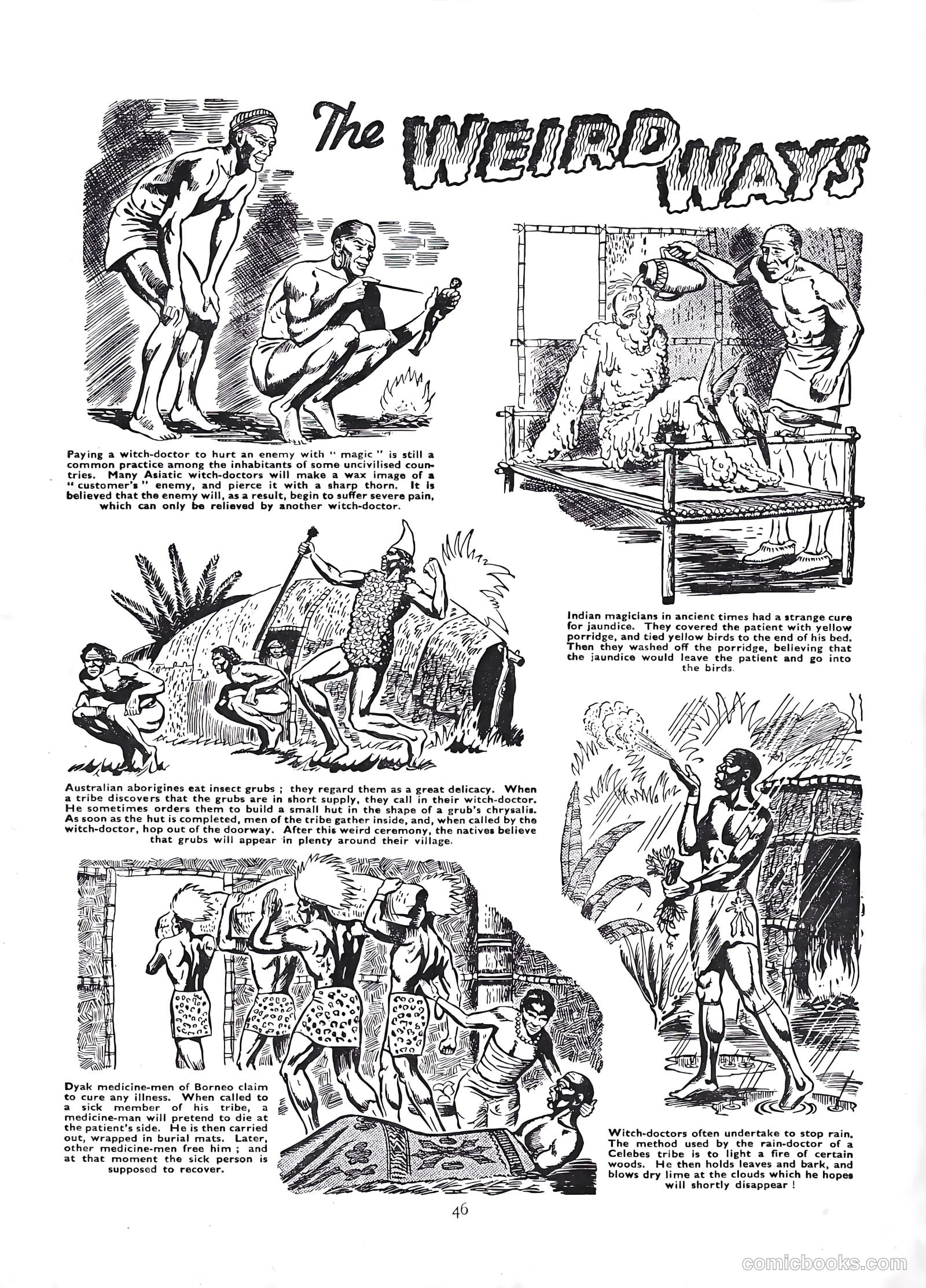Lion Annual #1954 — page 48 of 147