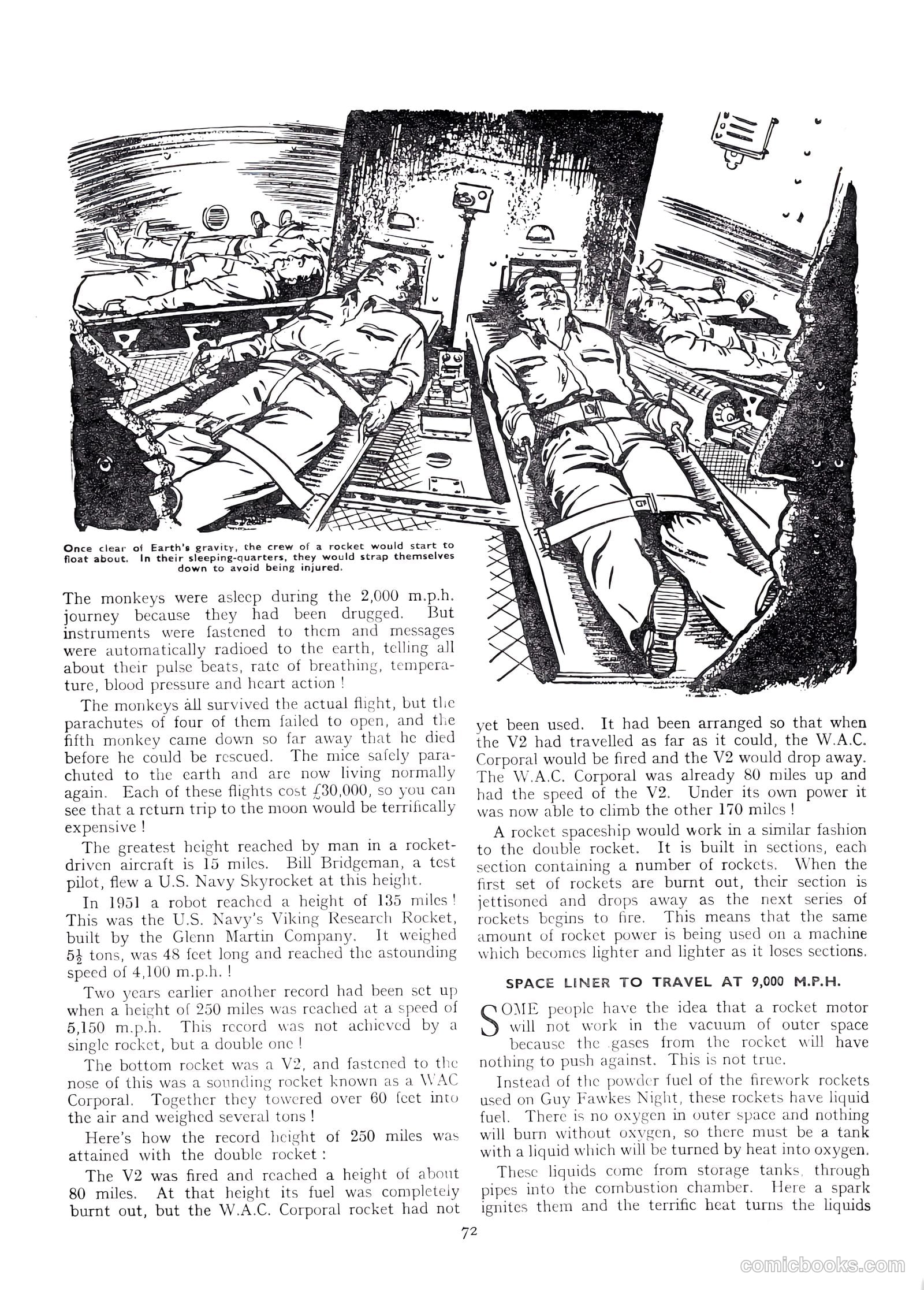 Lion Annual #1954 — page 74 of 147