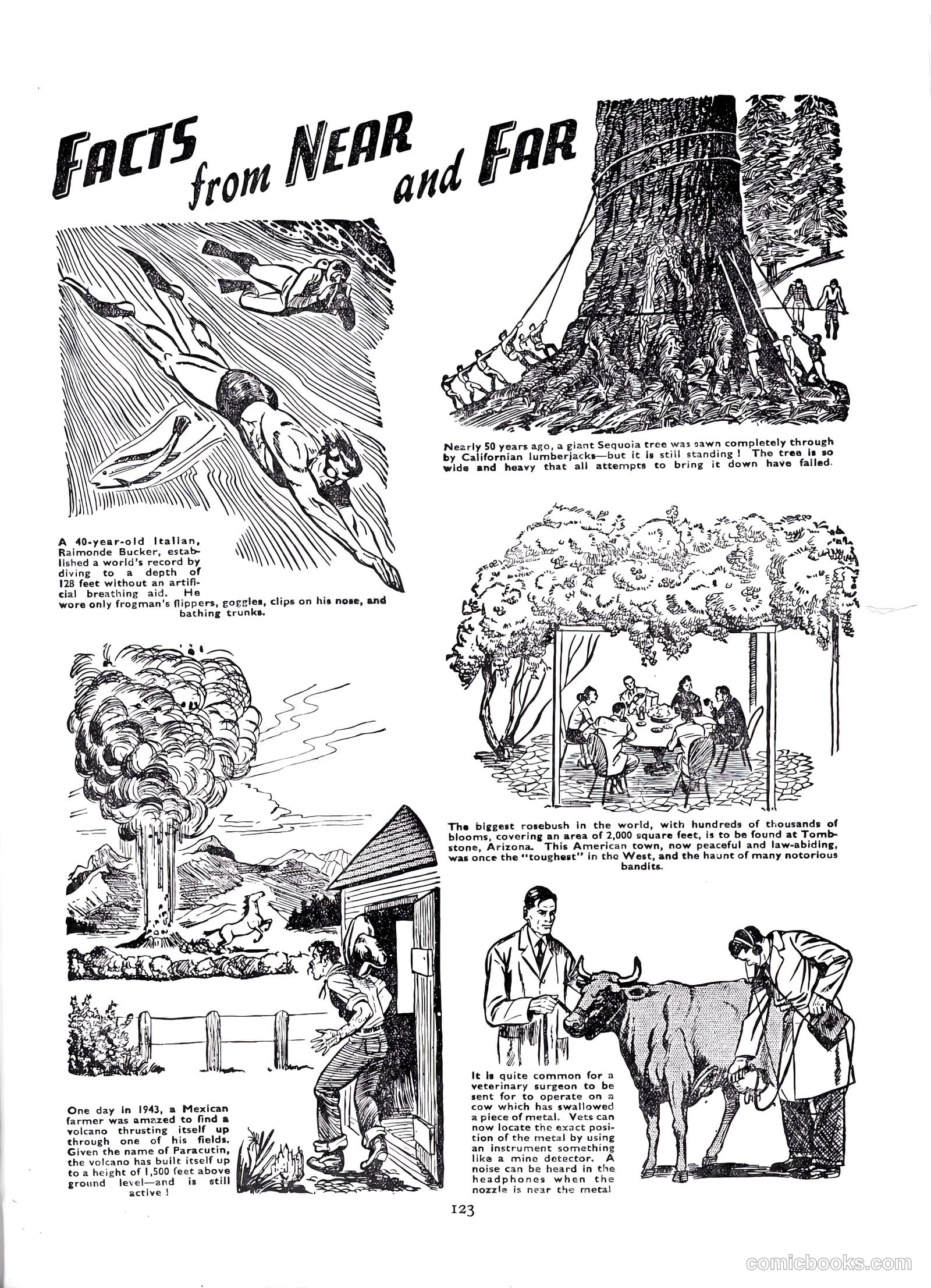 Lion Annual #1954 — page 125 of 147