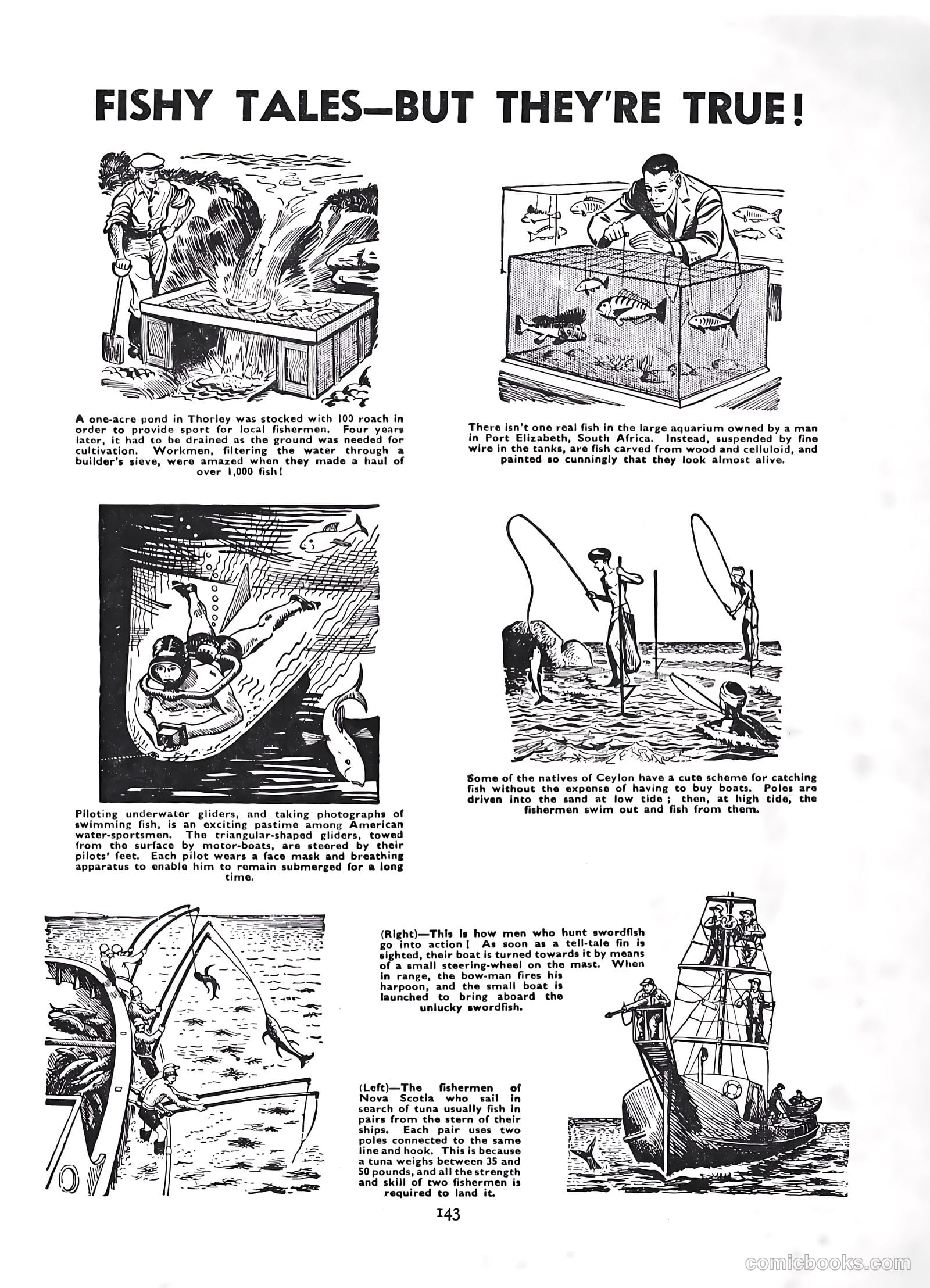 Lion Annual #1954 — page 145 of 147
