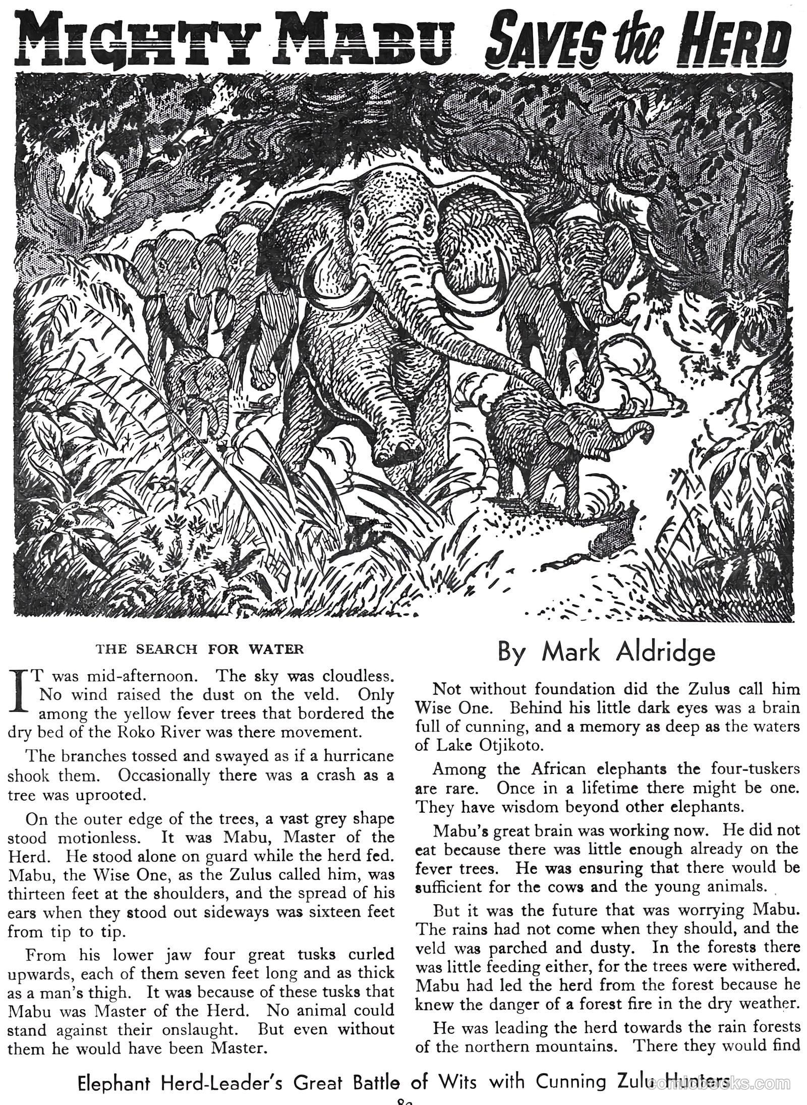 Lion Annual #1956 — page 82 of 161