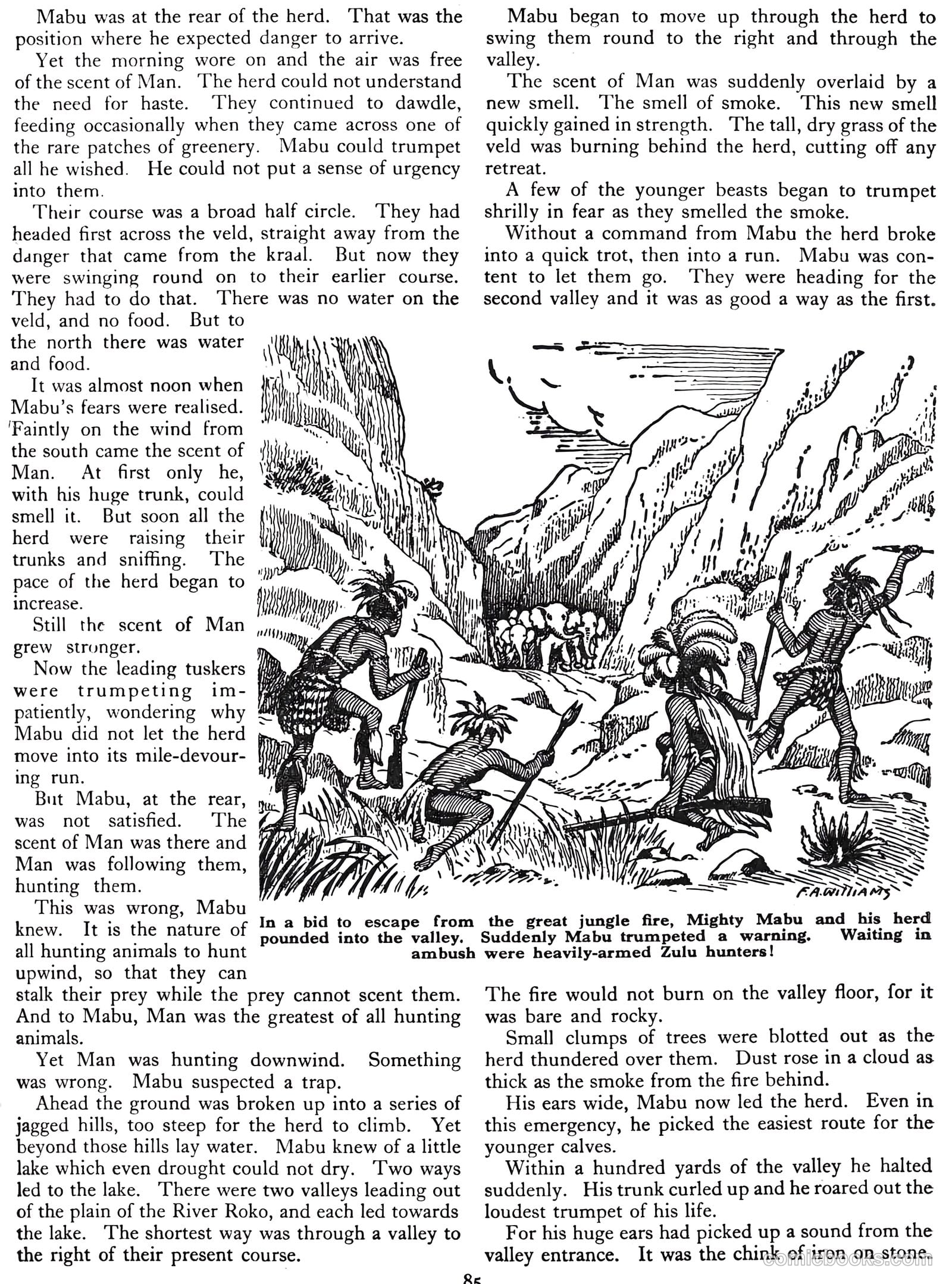Lion Annual #1956 — page 85 of 161