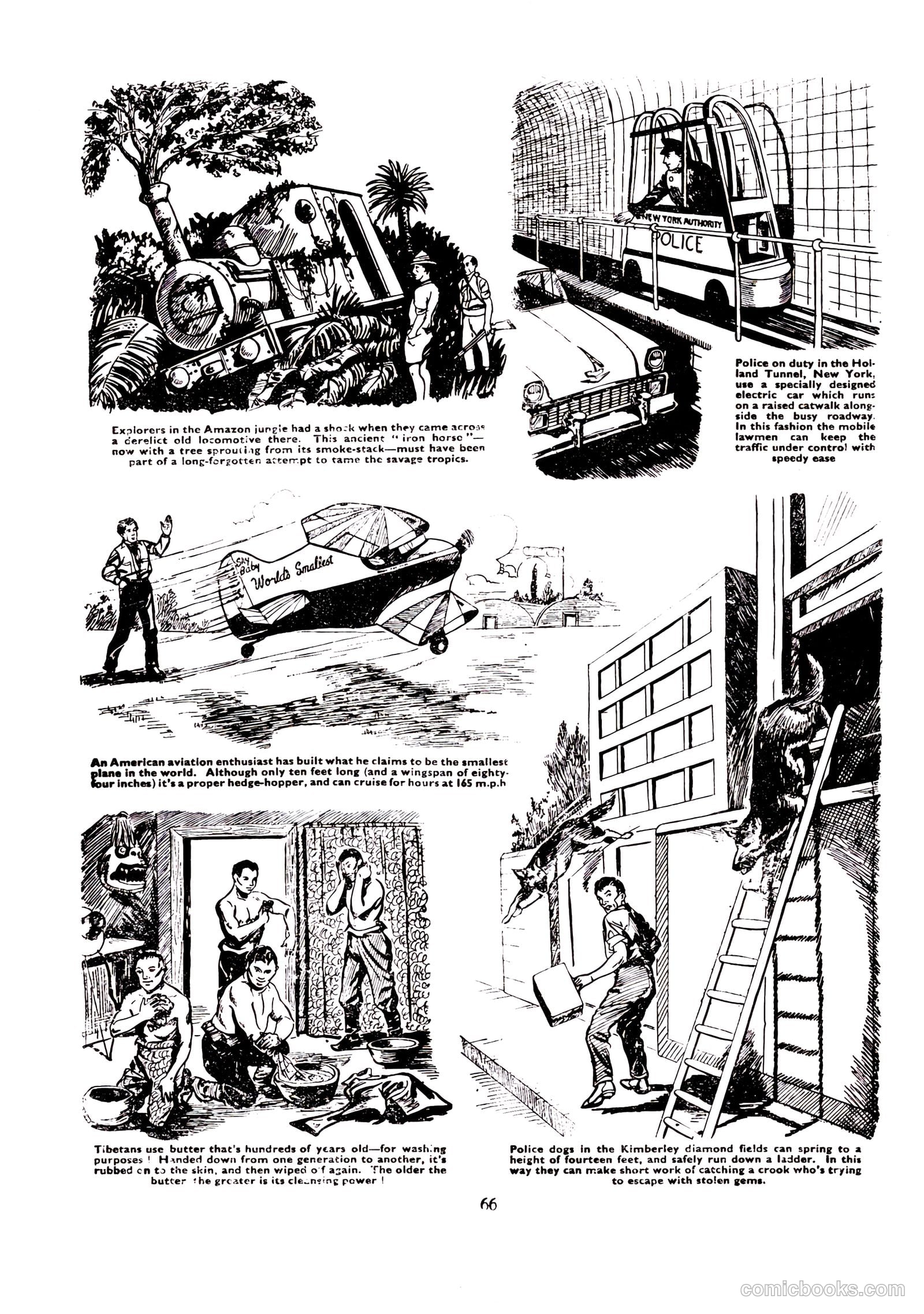 Lion Annual #1958 — page 69 of 163