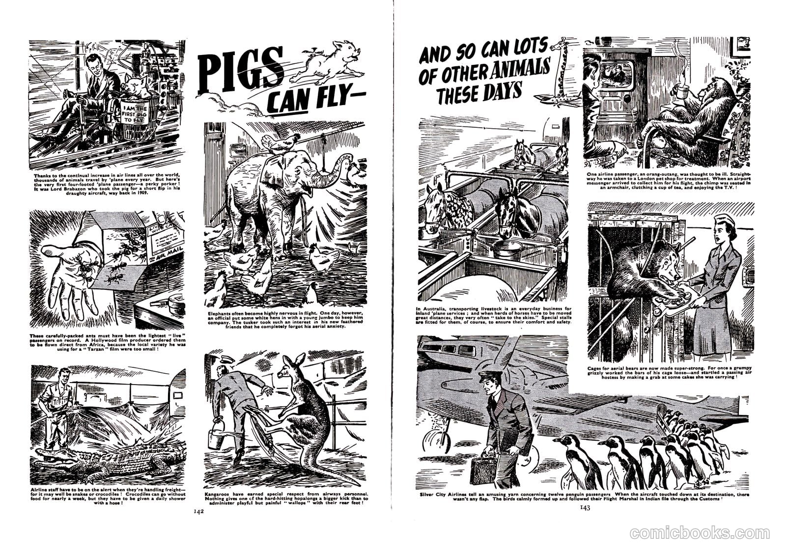 Lion Annual #1958 — page 144 of 163