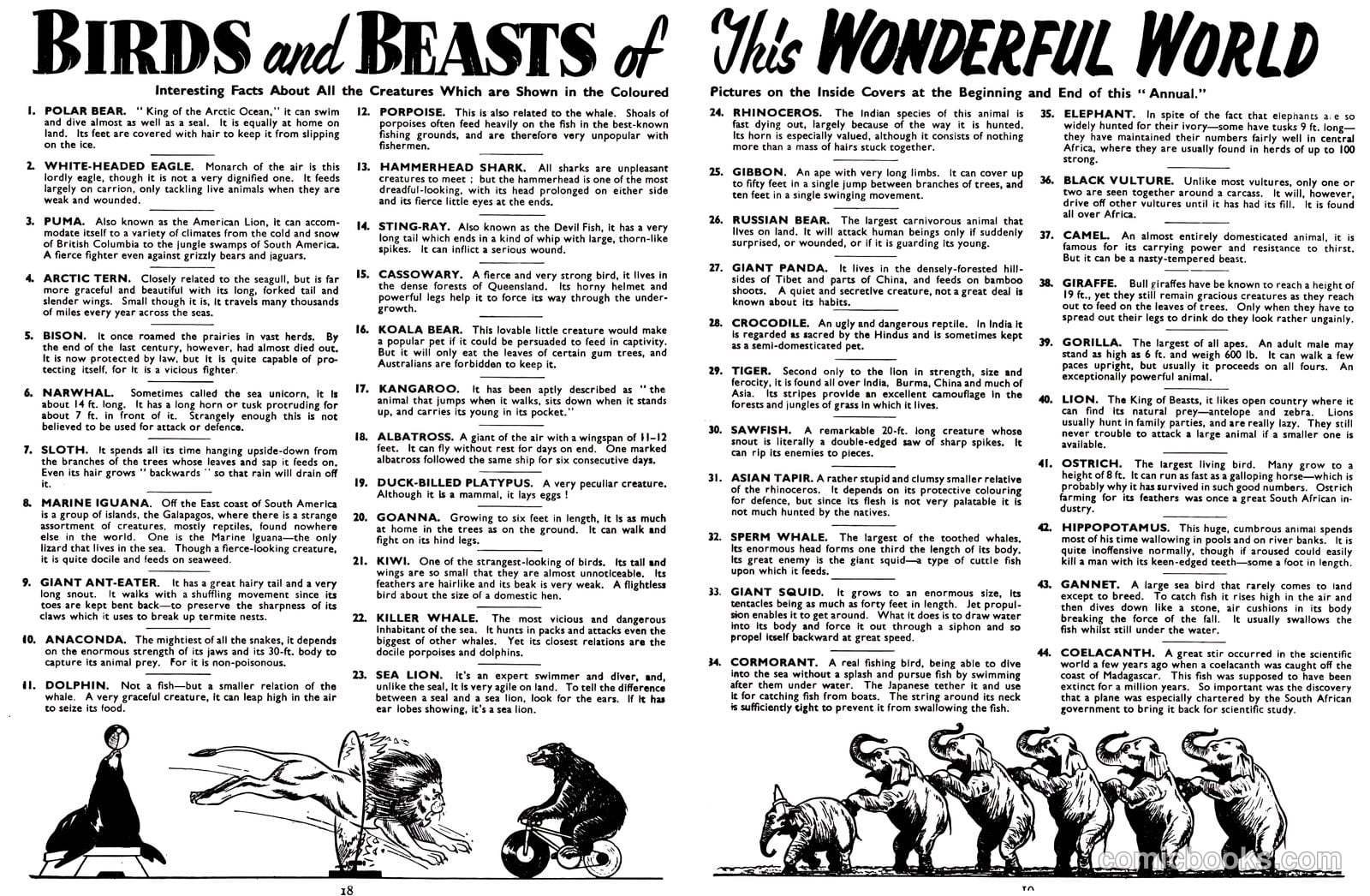 Lion Annual #1959 — page 21 of 161