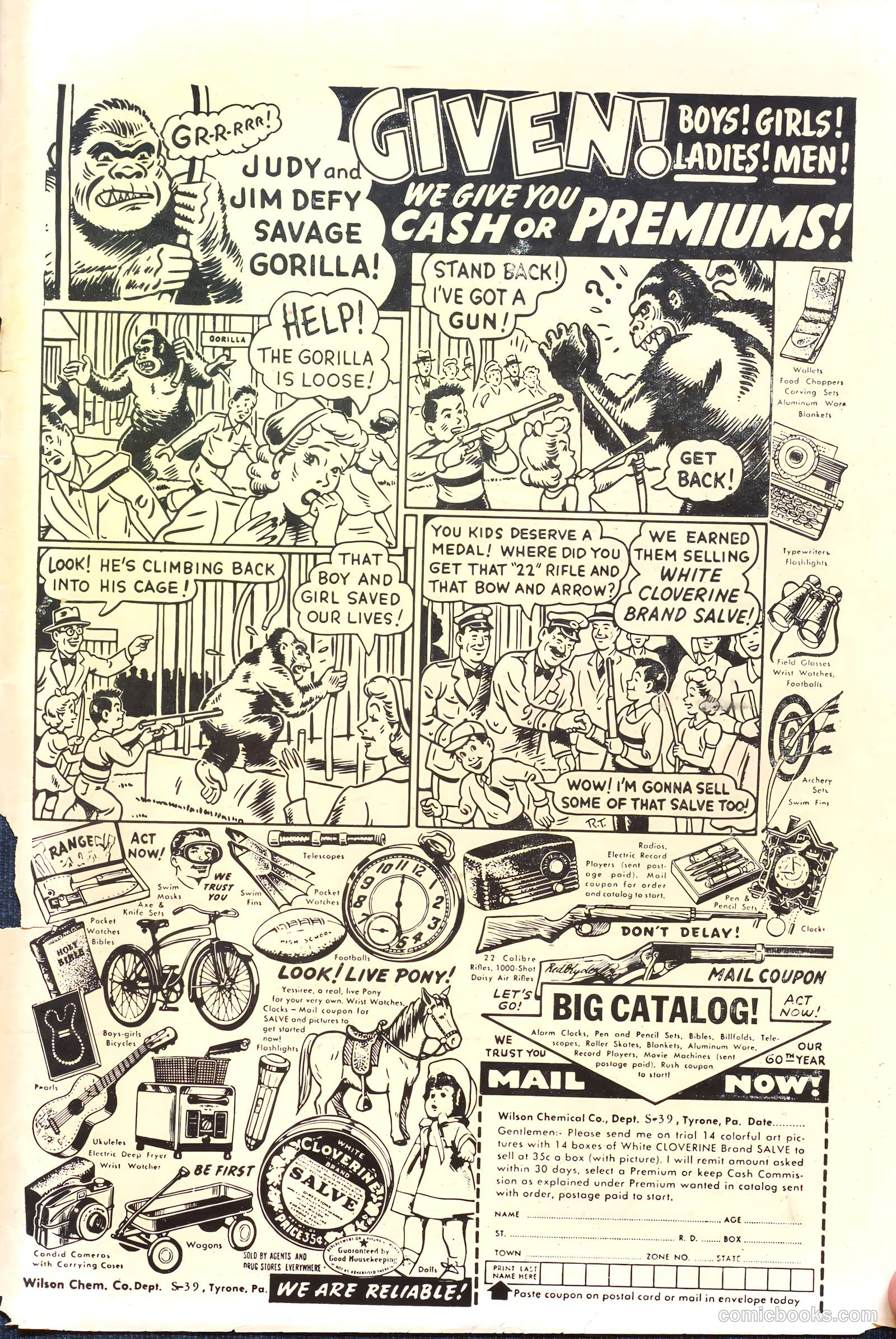 Little Eva #19 — page 35 of 36