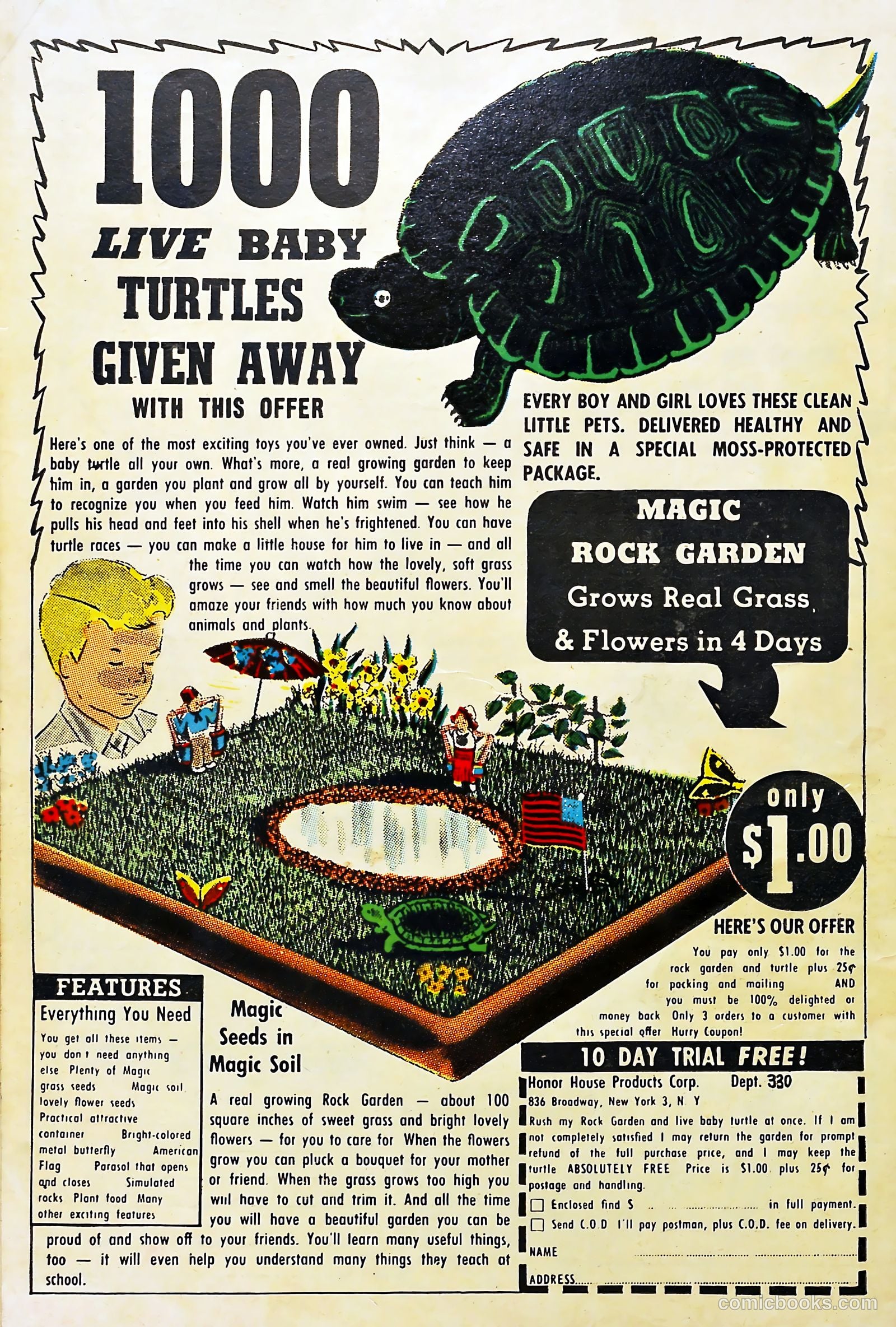 Love Illustrated #22 — page 36 of 36