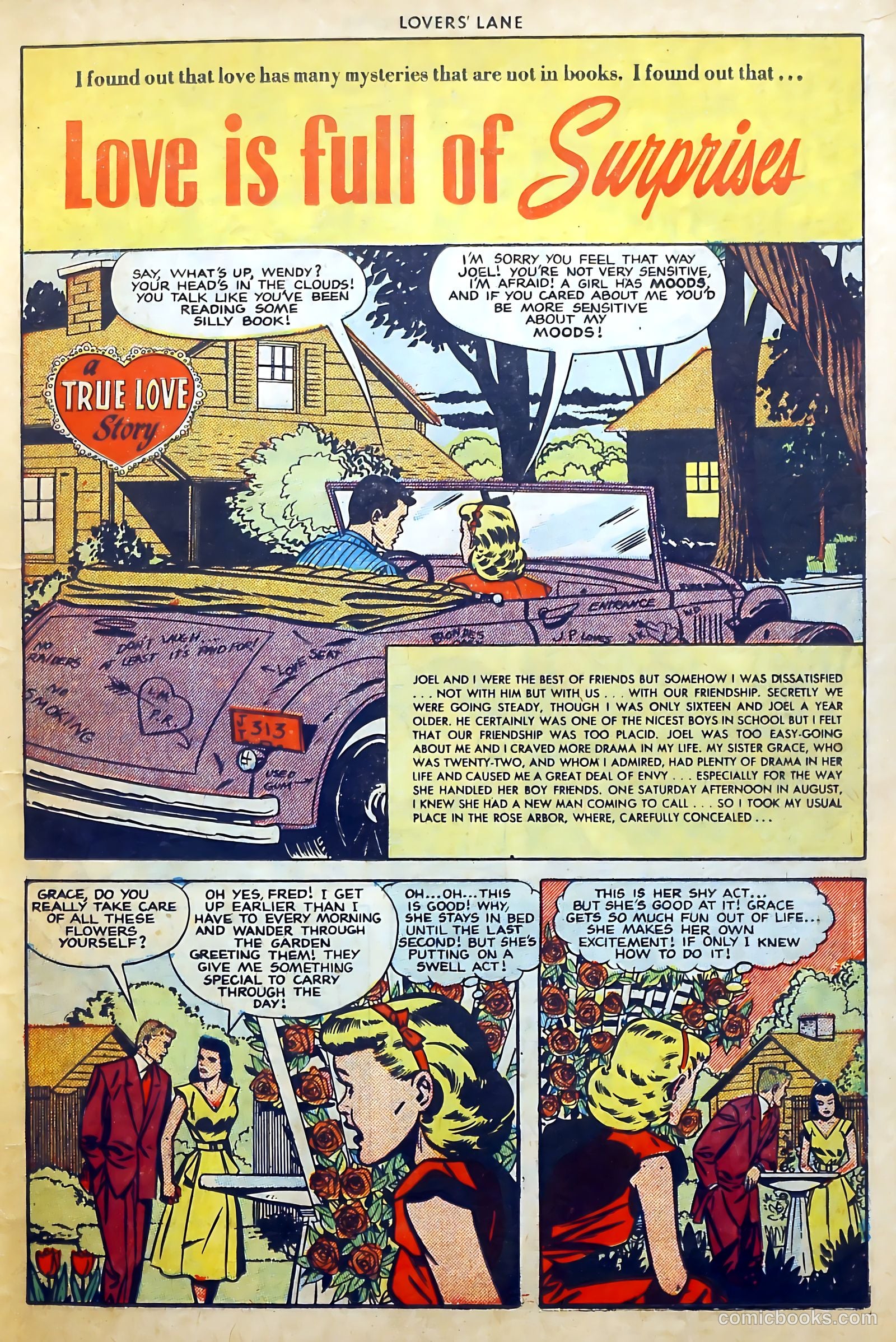 Lovers' Lane #18 — page 15 of 52