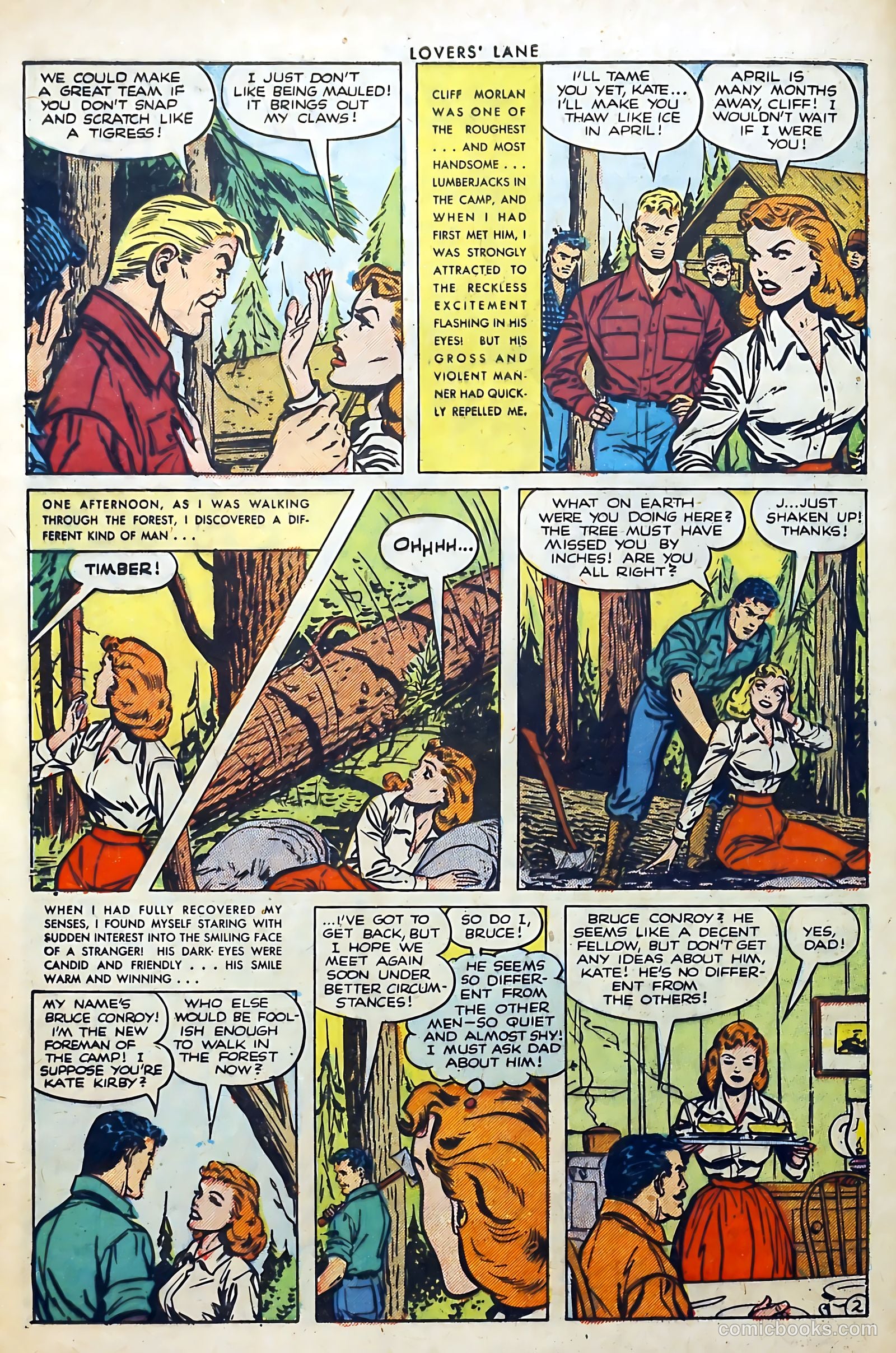 Lovers' Lane #35 — page 28 of 36