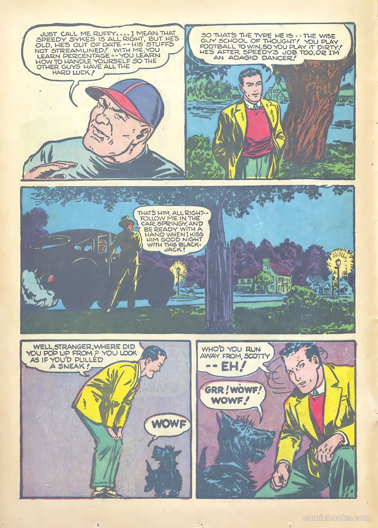 Major Hoople Comics #1 — page 20 of 68