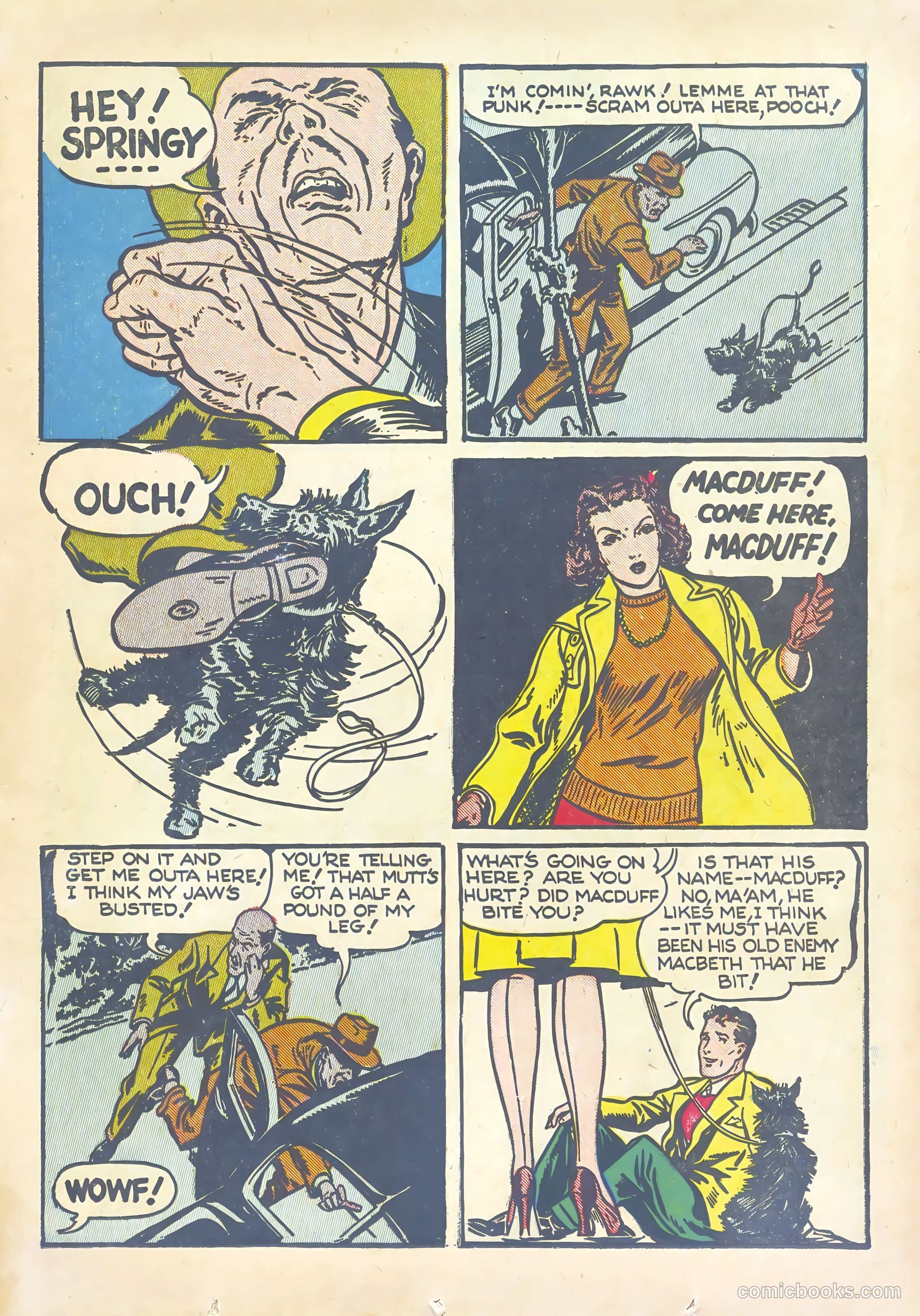Major Hoople Comics #1 — page 21 of 68