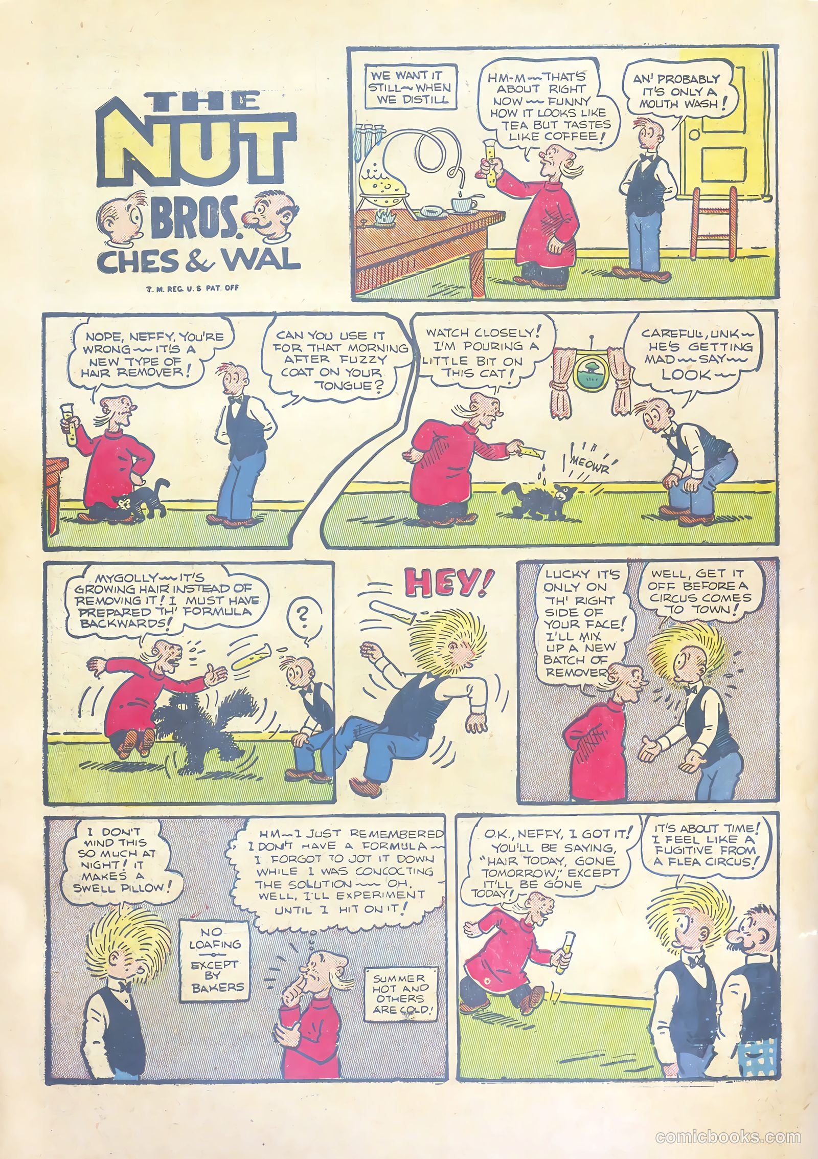 Major Hoople Comics #1 — page 64 of 68